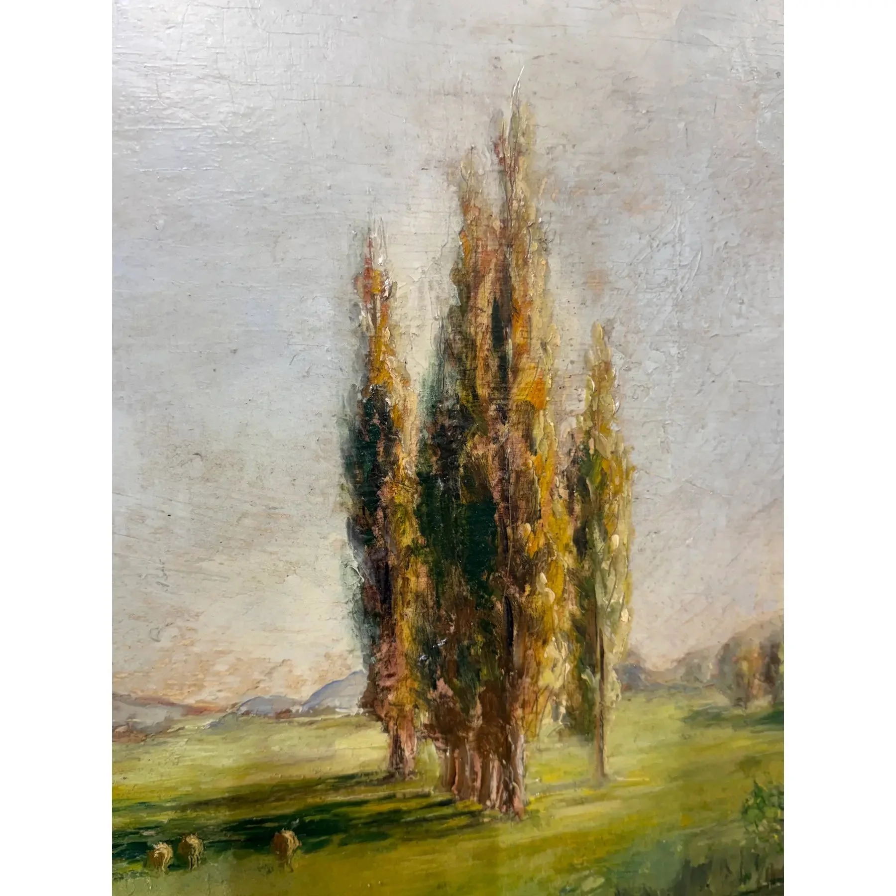 Image 4-21-26 at 2.57 PM (5).jpg