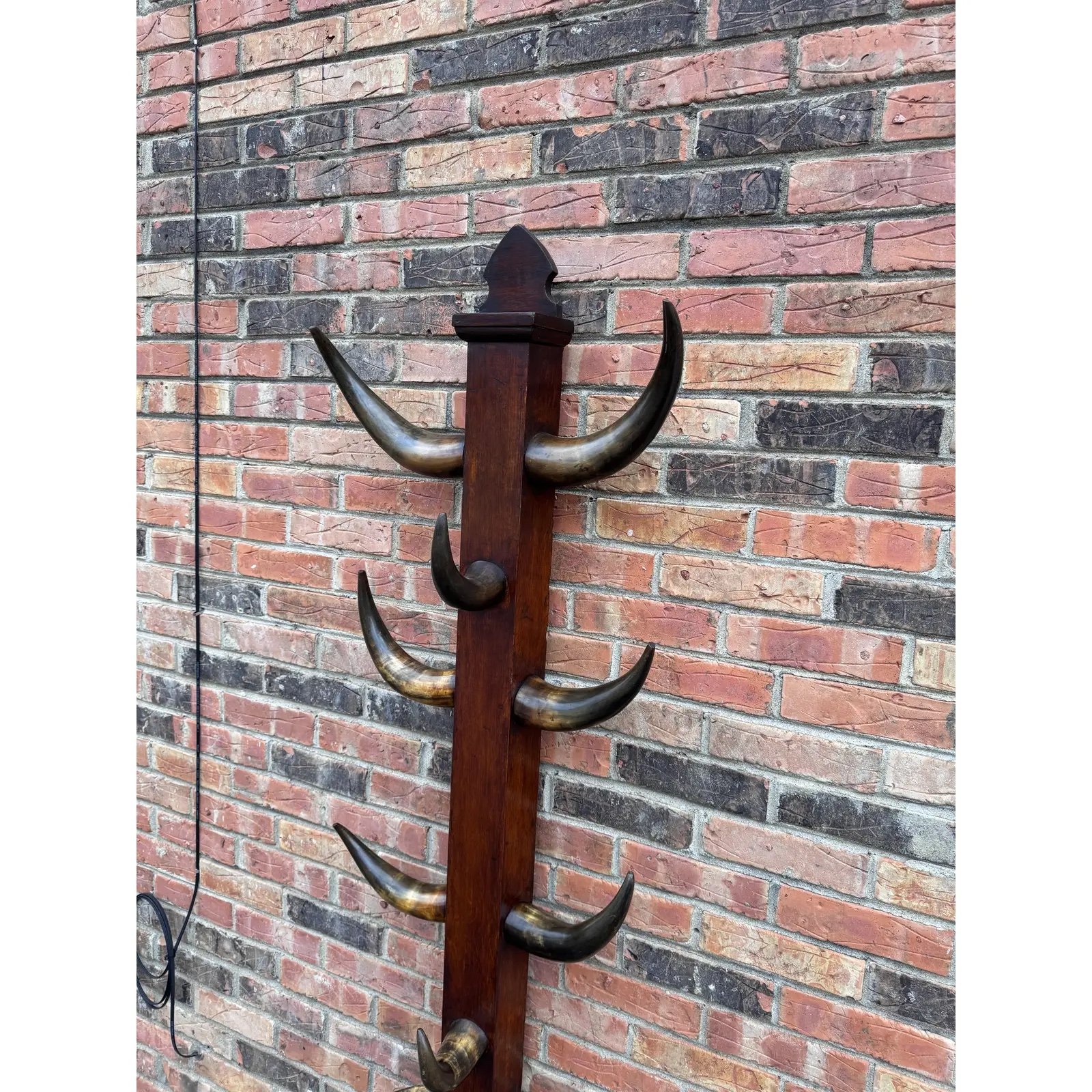 Image 1-19-26 at 1.51 PM (4).jpg