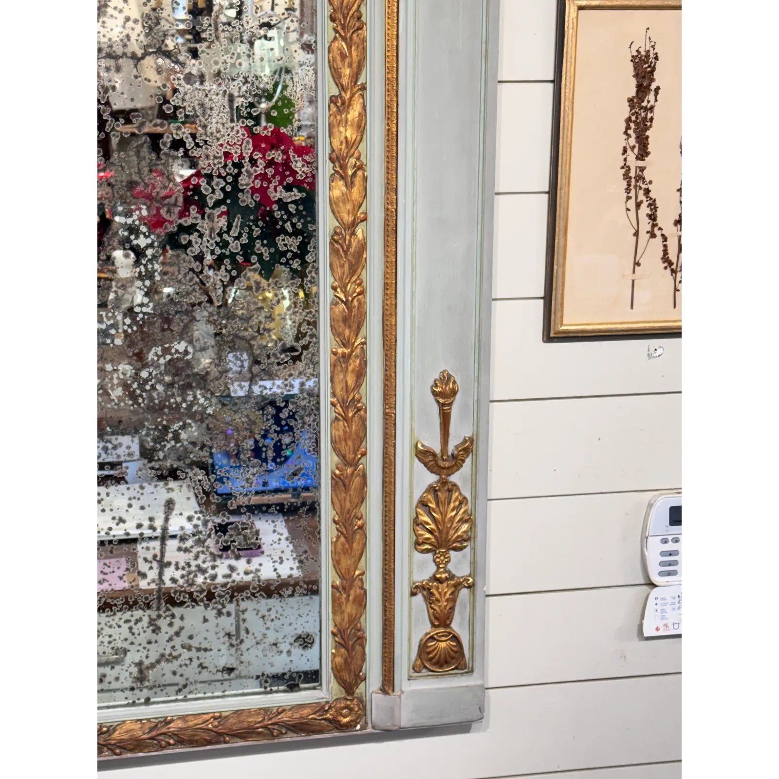 Image 12-9-25 at 10.29 AM.jpg