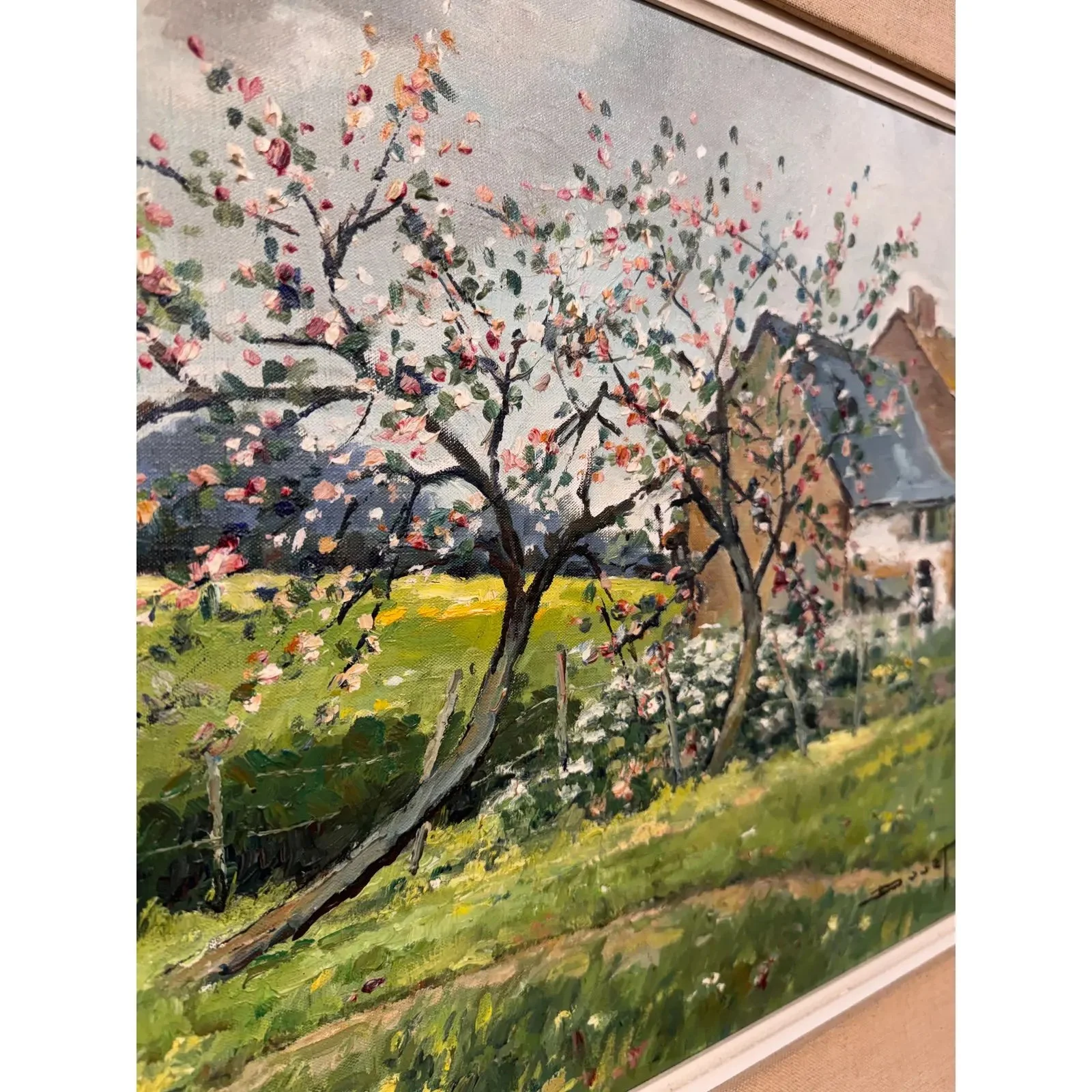 Image 4-6-26 at 2.54 PM (1).jpg