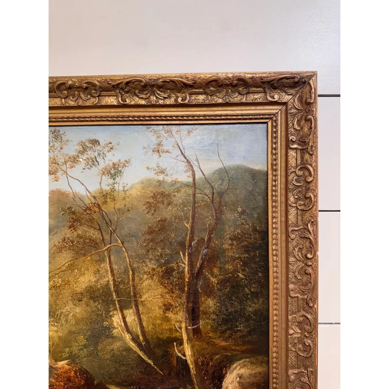 Image 4-7-26 at 9.50 AM (4).jpg