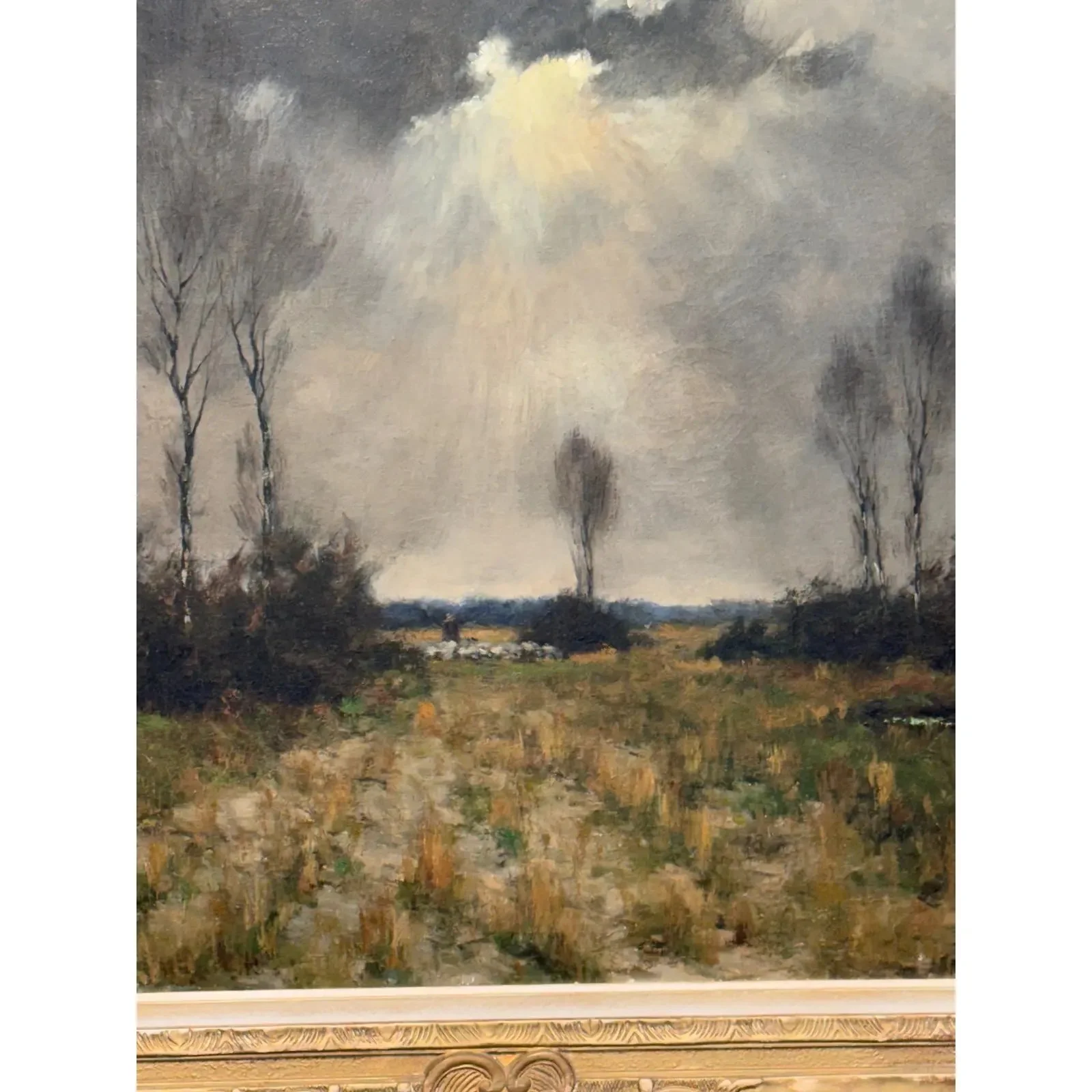 Image 3-26-26 at 11.08 AM (2).jpg