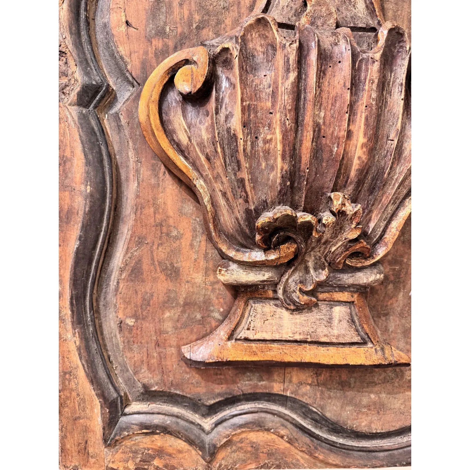 Image 2-16-26 at 2.24 PM (2).jpg