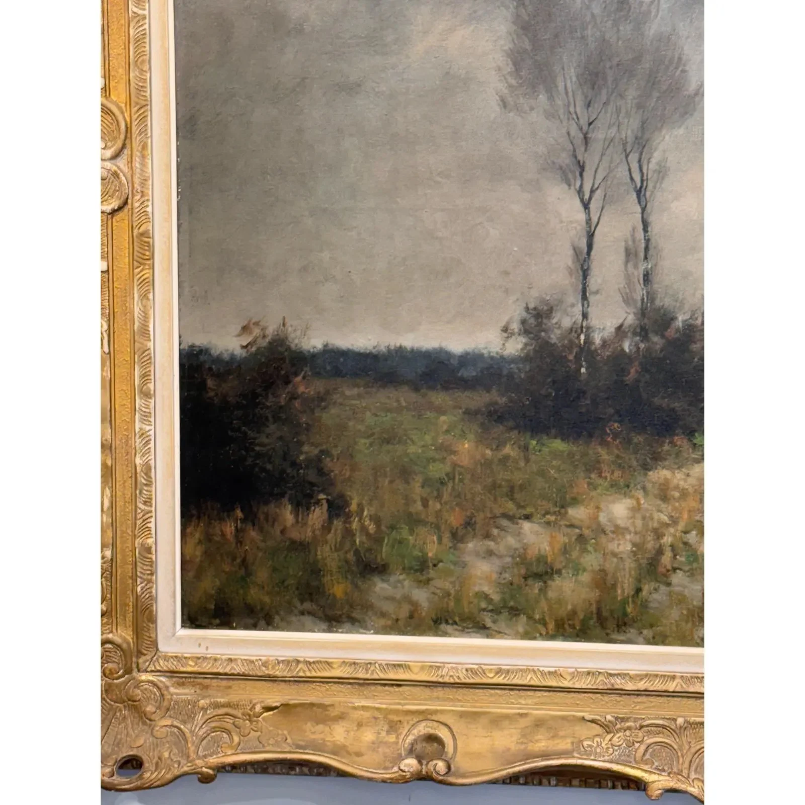 Image 3-26-26 at 11.08 AM.jpg