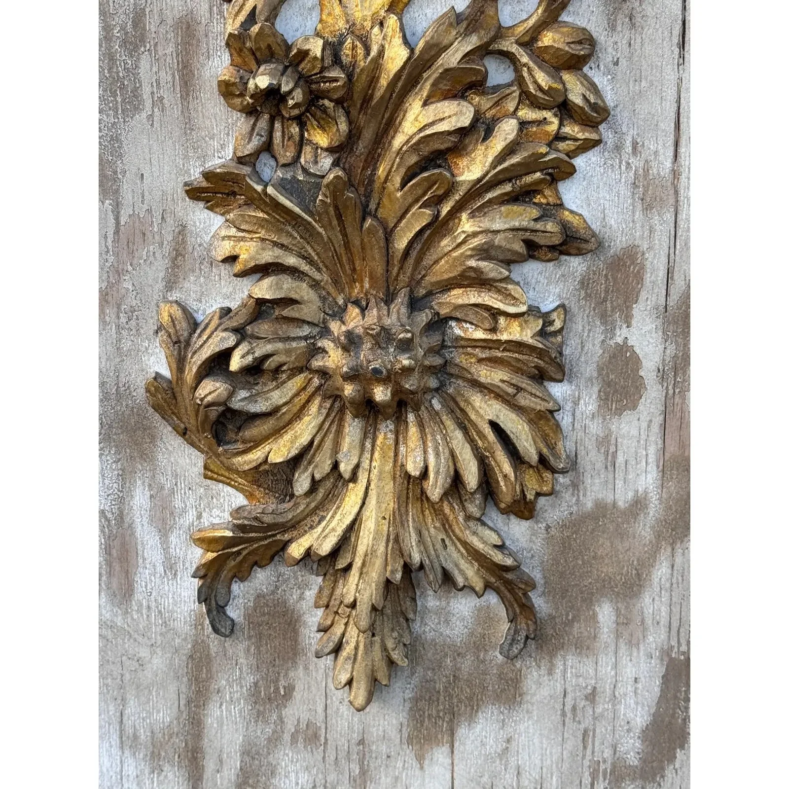 Image 2-19-26 at 10.57 AM (3).jpg