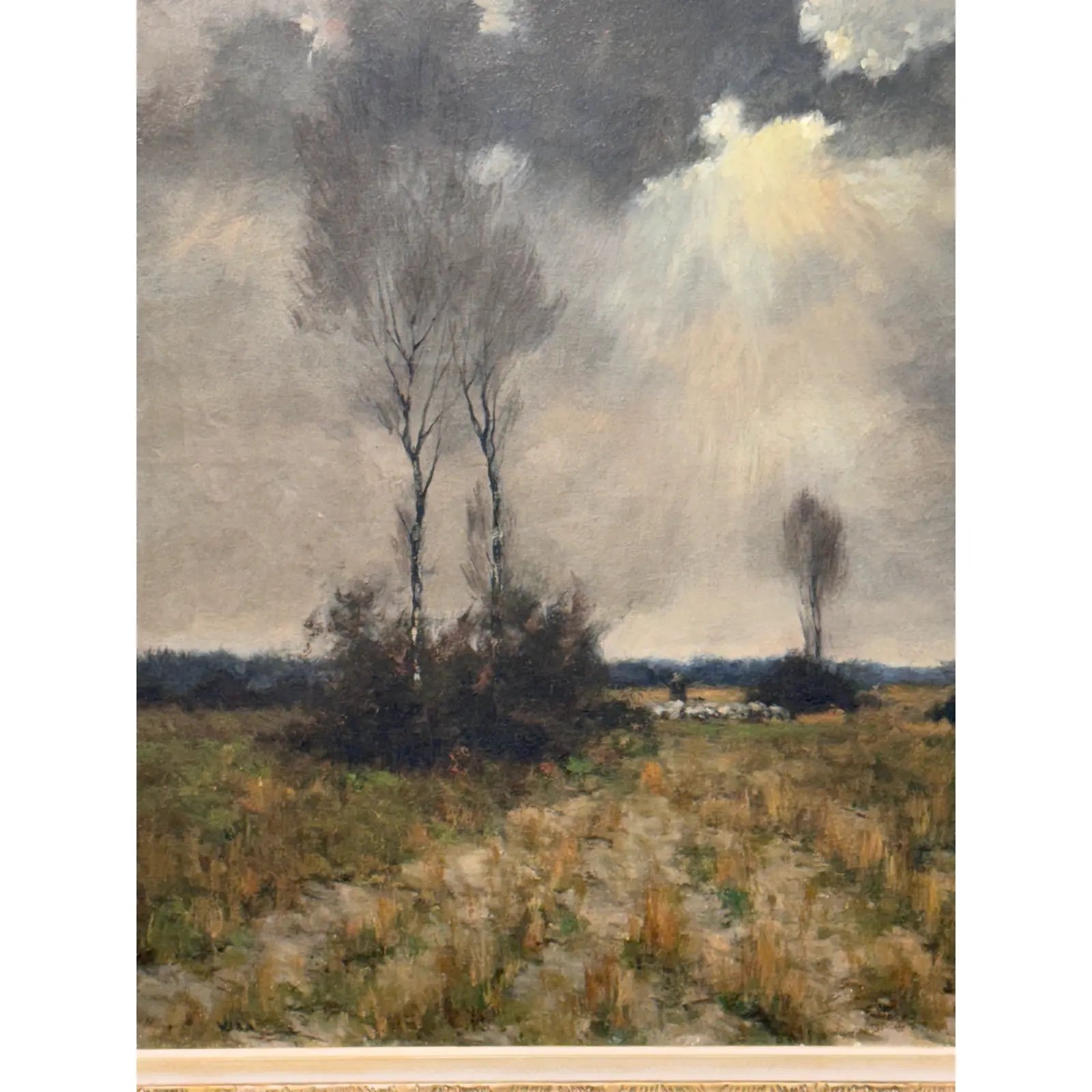 Image 3-26-26 at 11.08 AM (1).jpg