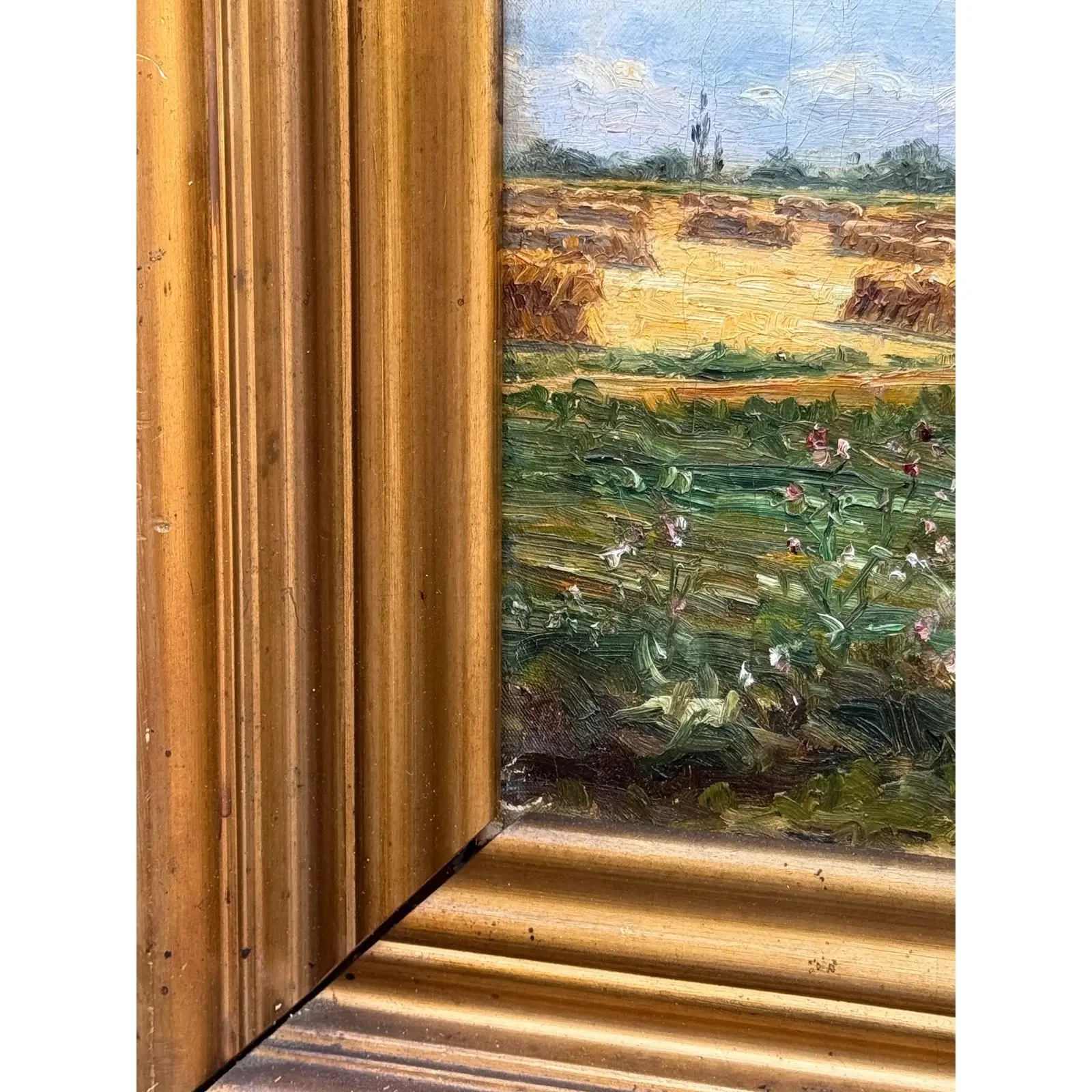 Image 3-11-26 at 3.09 PM (5).jpg