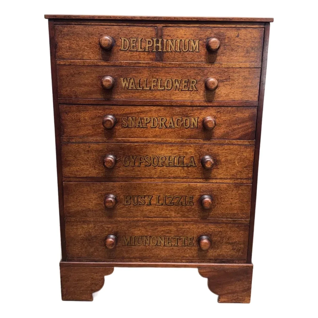 19th Century Chest of Drawers With Botanical Species