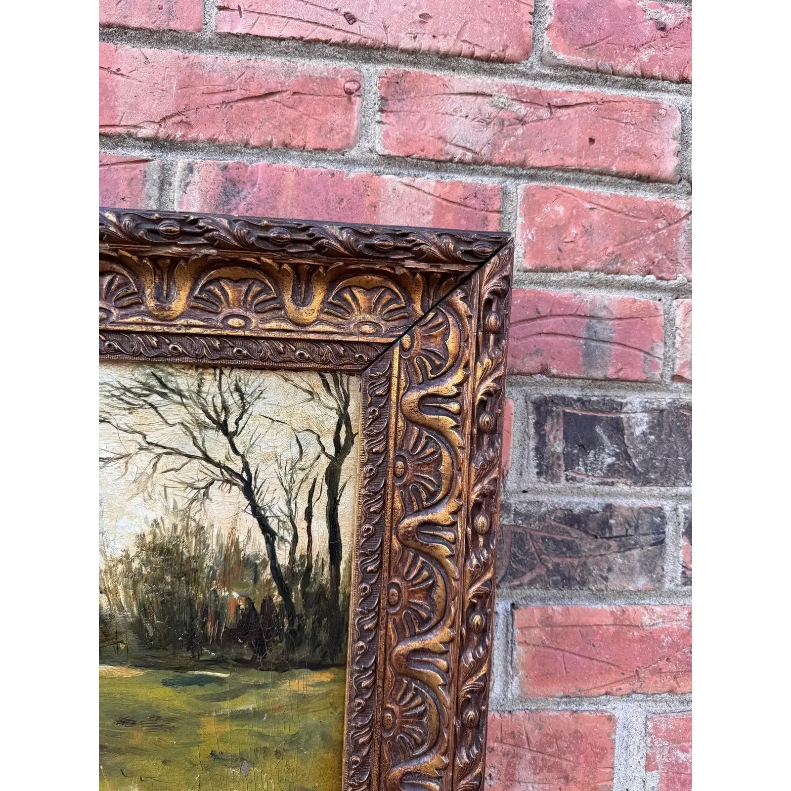 Image 3-11-26 at 12.46 PM.jpg