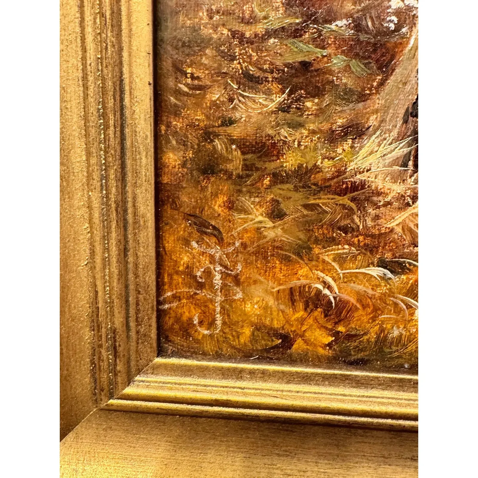 Image 2-9-26 at 11.46 AM (5).jpg