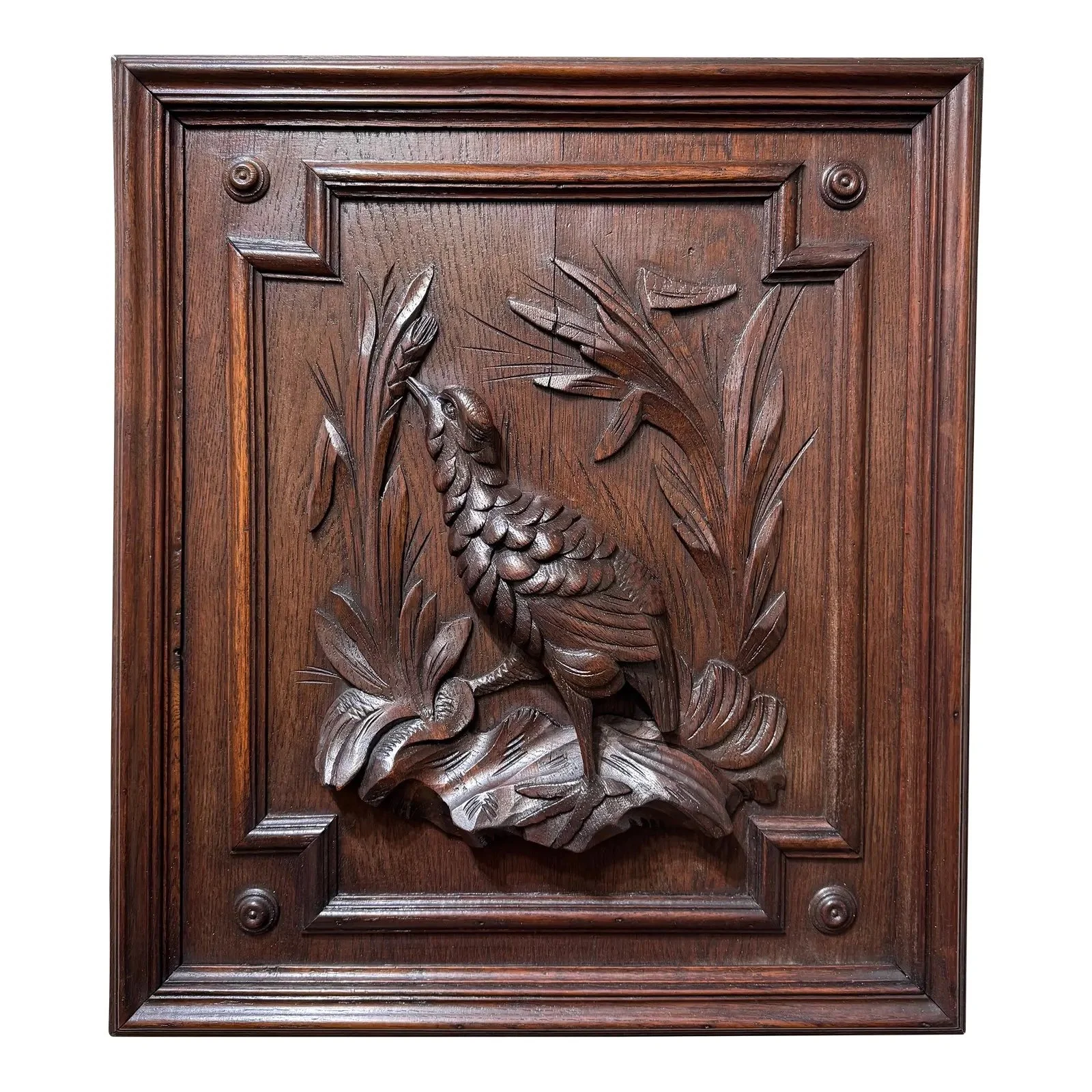 Image 3-2-26 at 1.09 PM.jpg