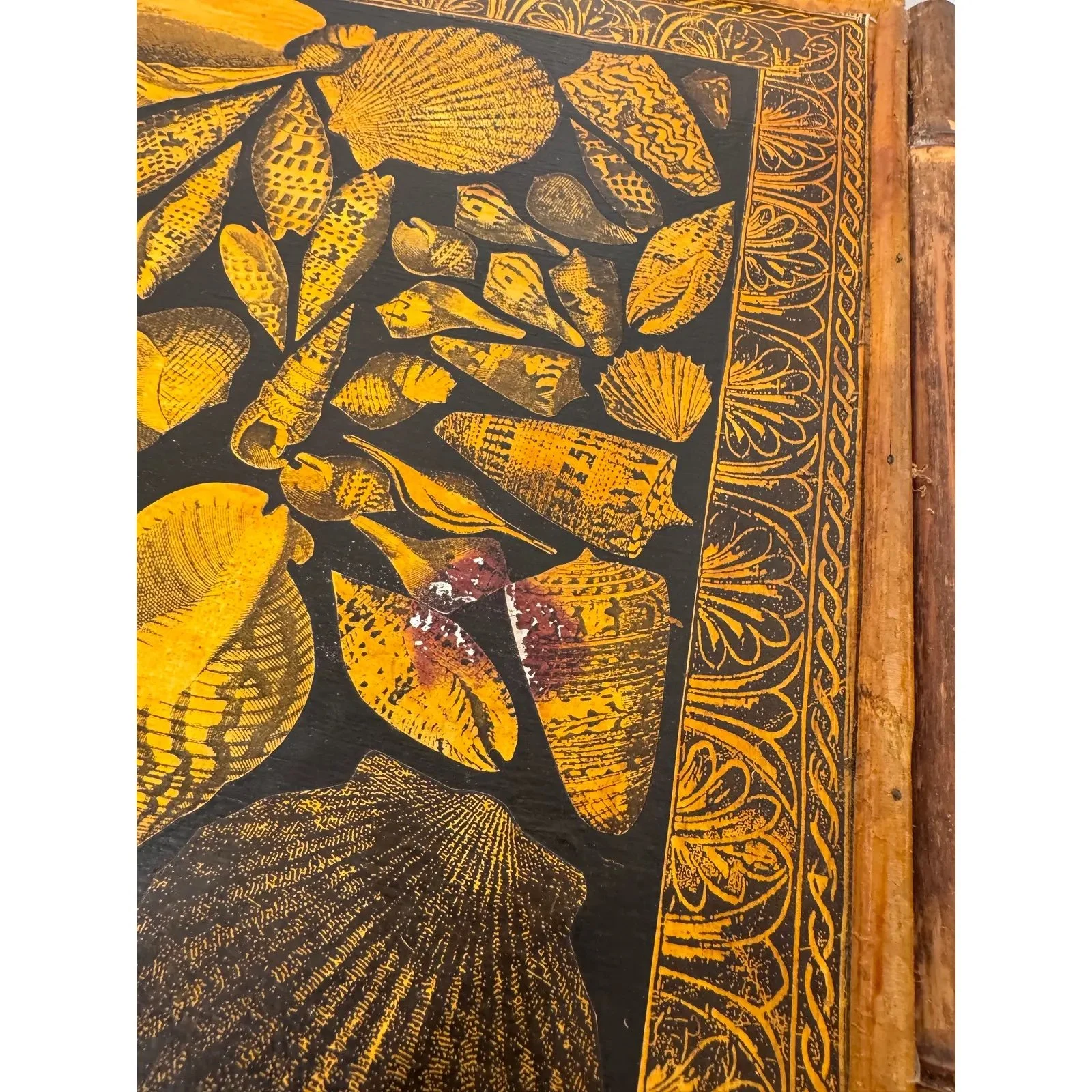 Image 3-24-26 at 10.36 AM (4).jpg