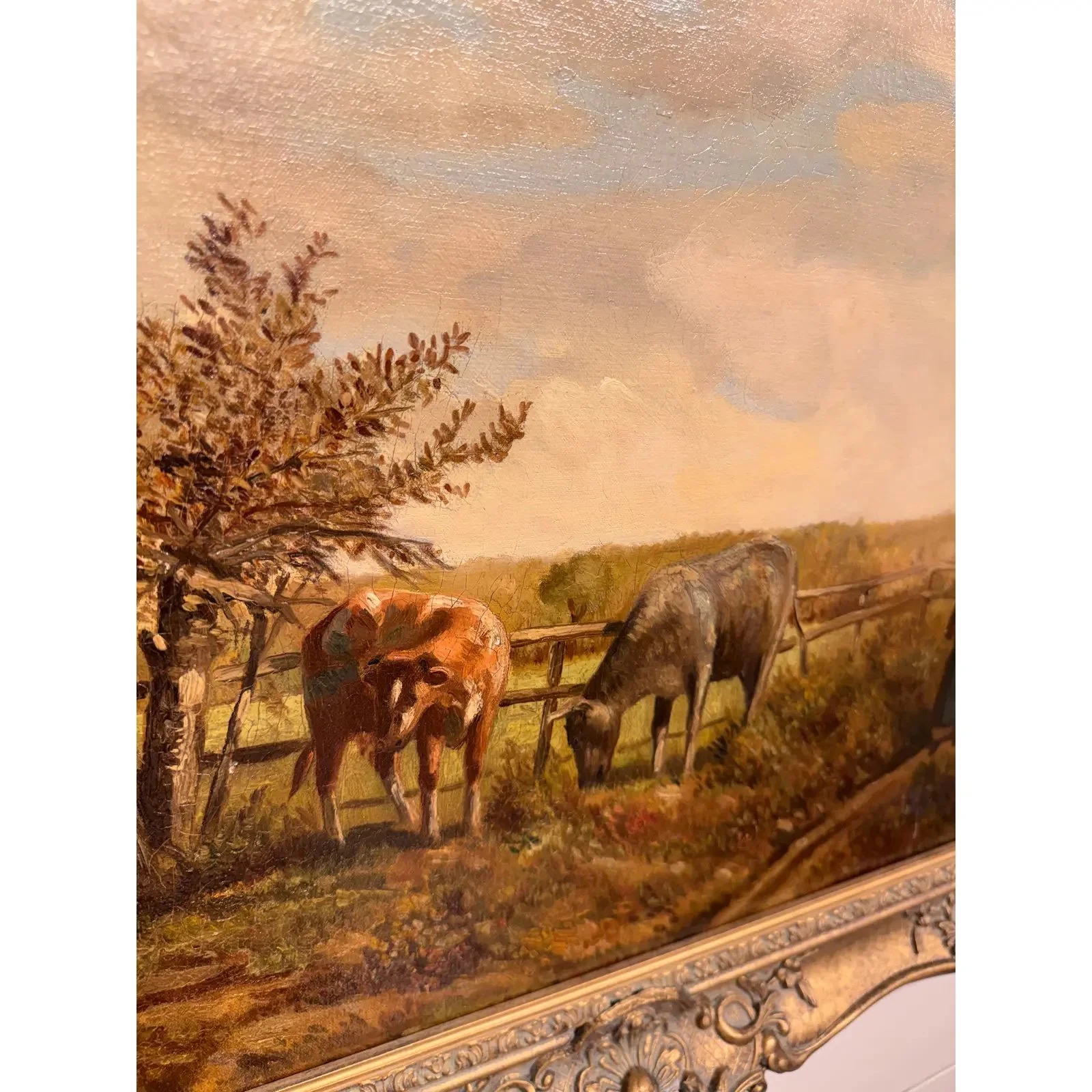 Image 4-6-26 at 3.49 PM (7).jpg