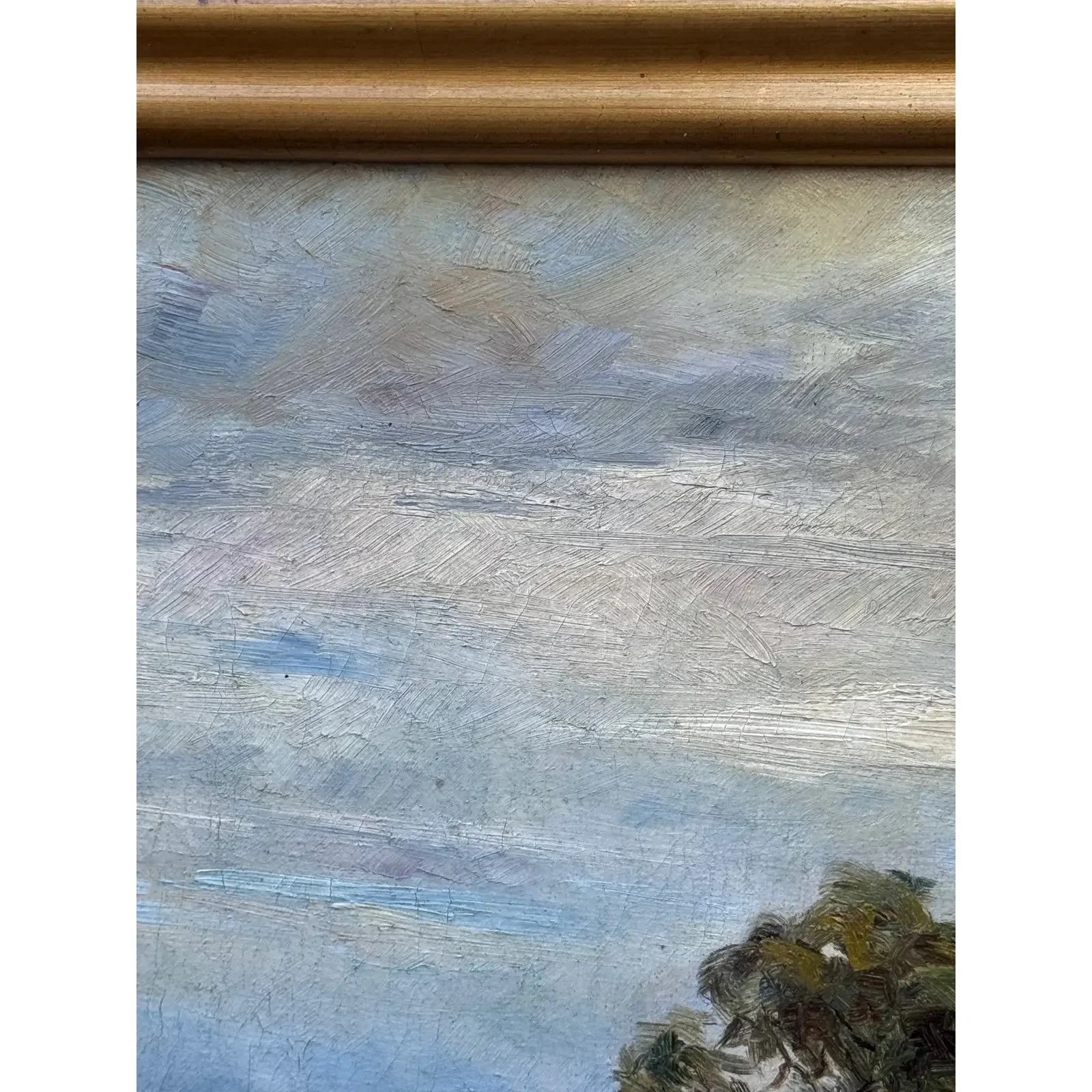 Image 3-11-26 at 3.09 PM (3).jpg