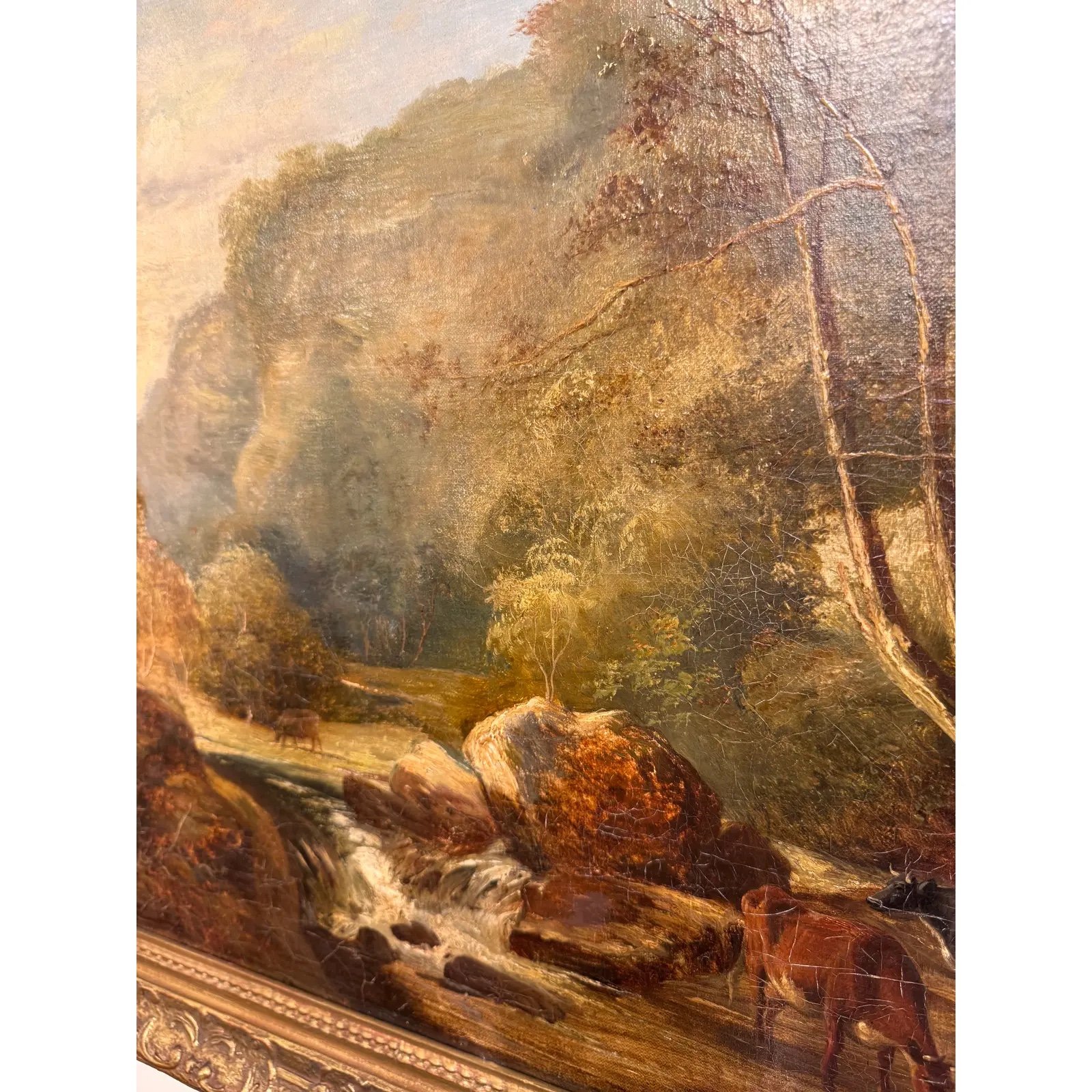 Image 4-7-26 at 9.51 AM (3).jpg