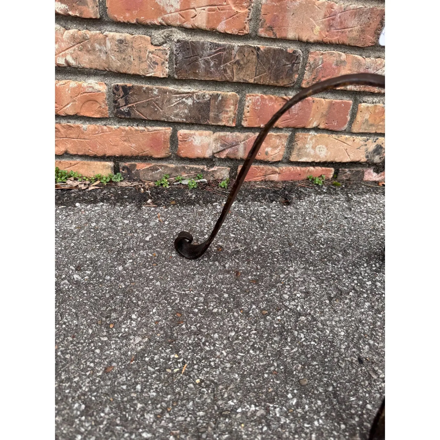 Image 1-17-26 at 6.54 AM (2).jpg