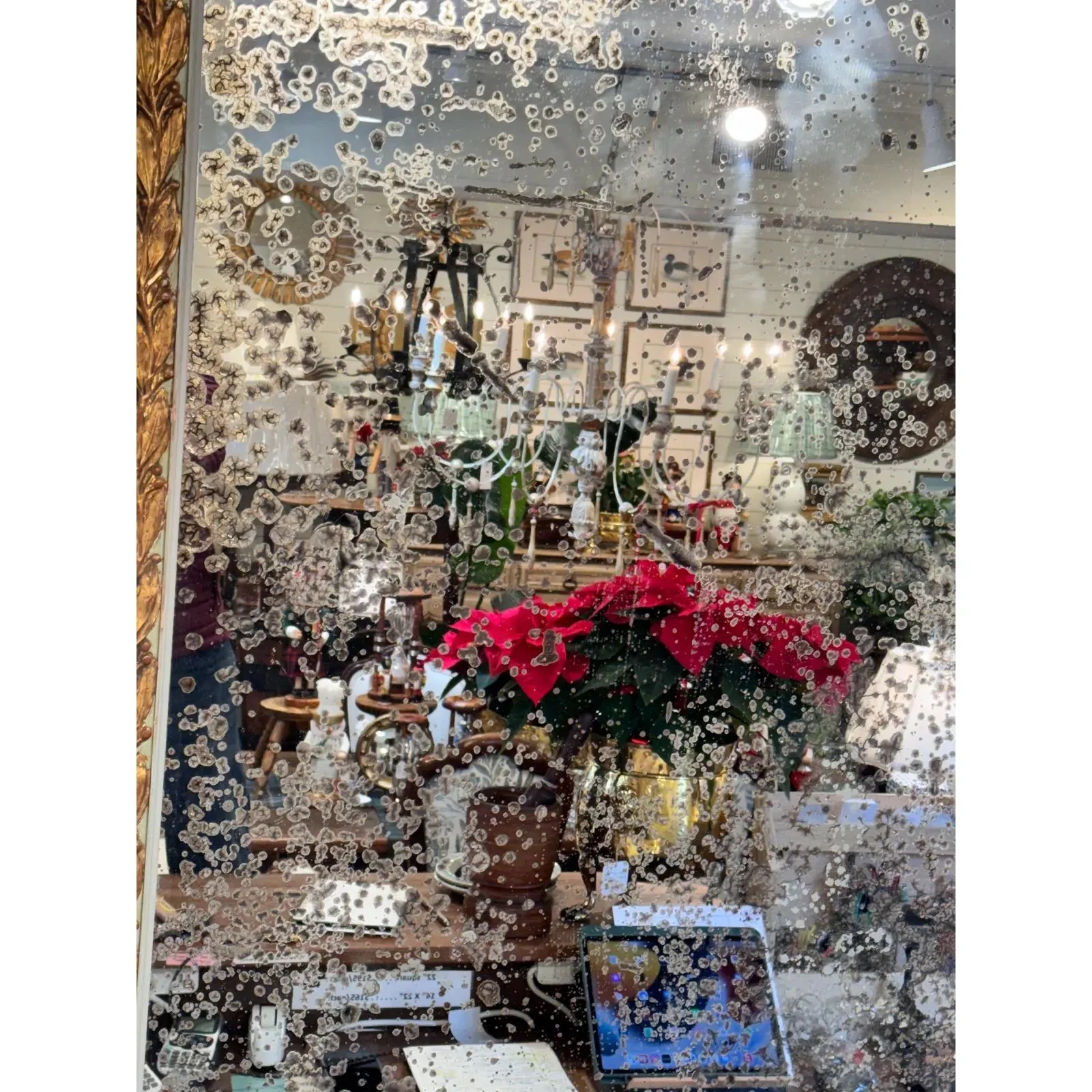 Image 12-9-25 at 10.30 AM (2).jpg