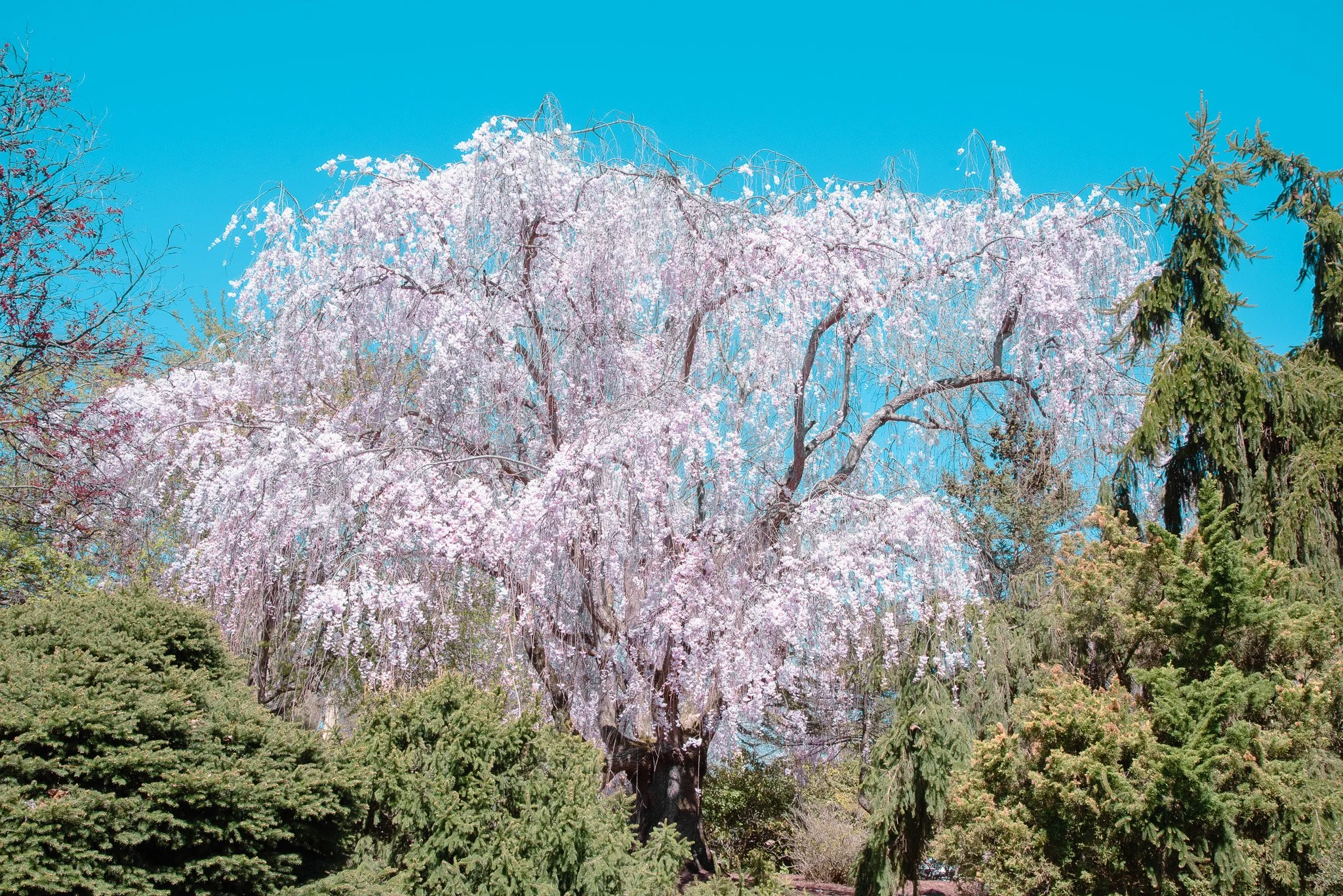 DSC_0655.jpg