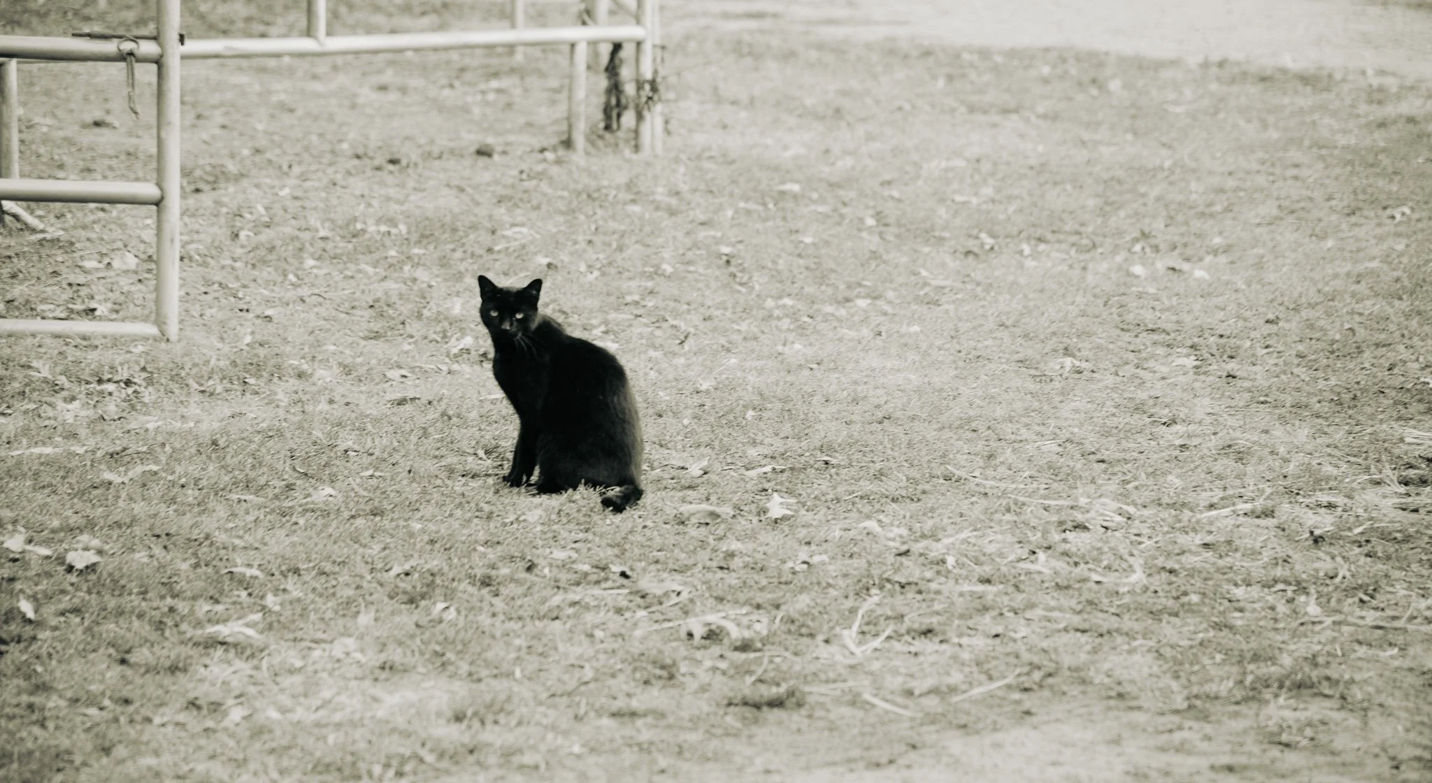 DSC_8851.jpg