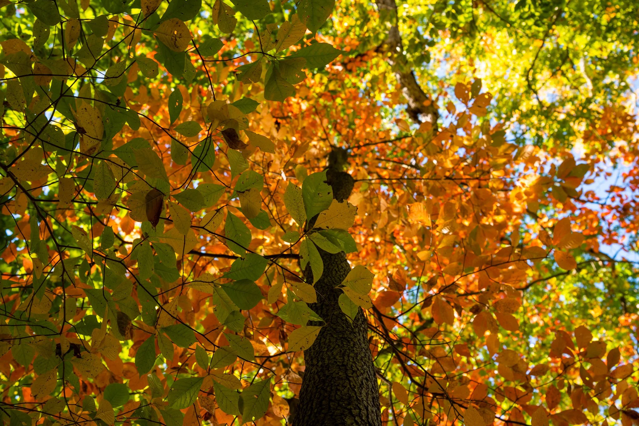 DSC_2892.jpg