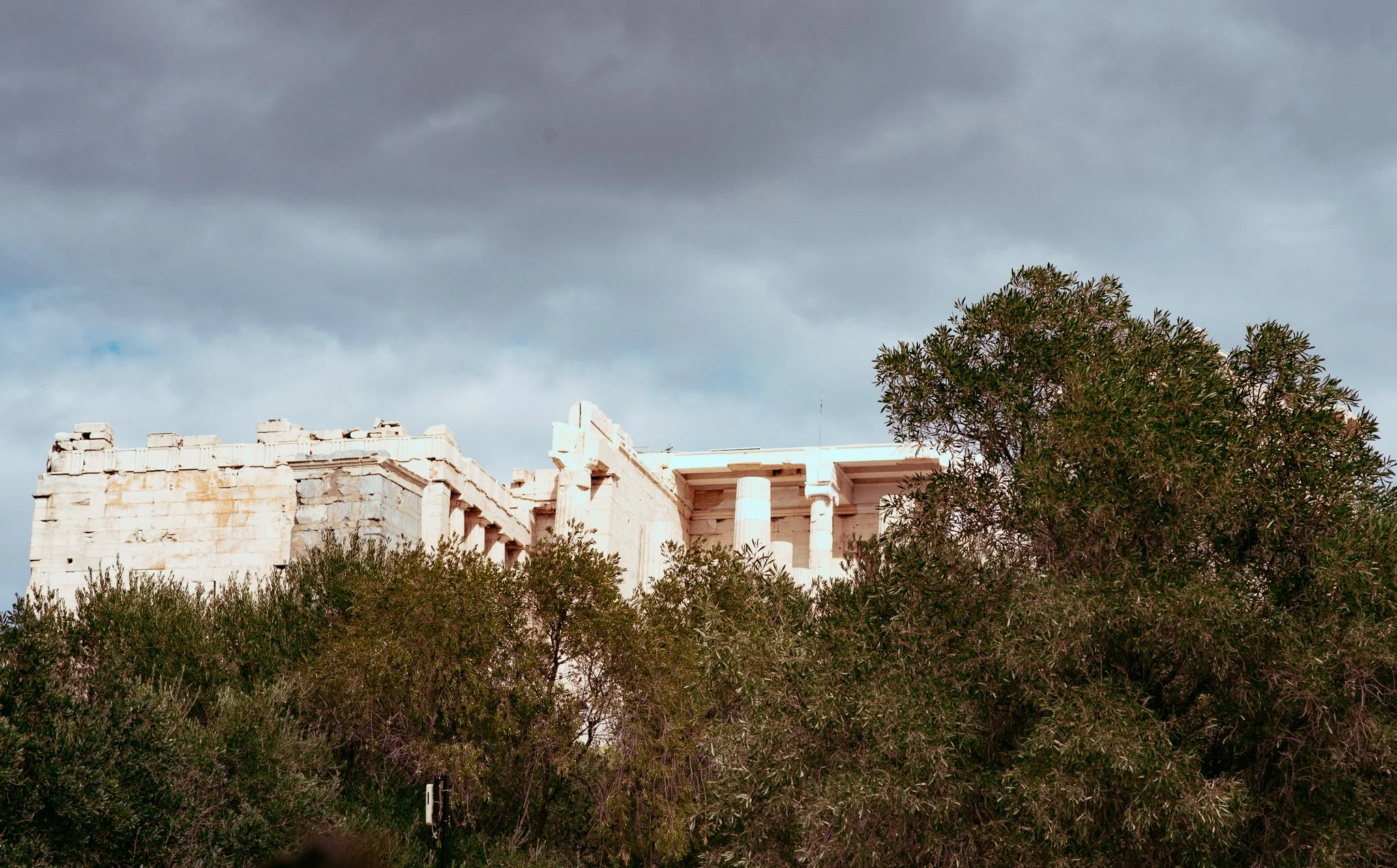 DSC_2769.jpg