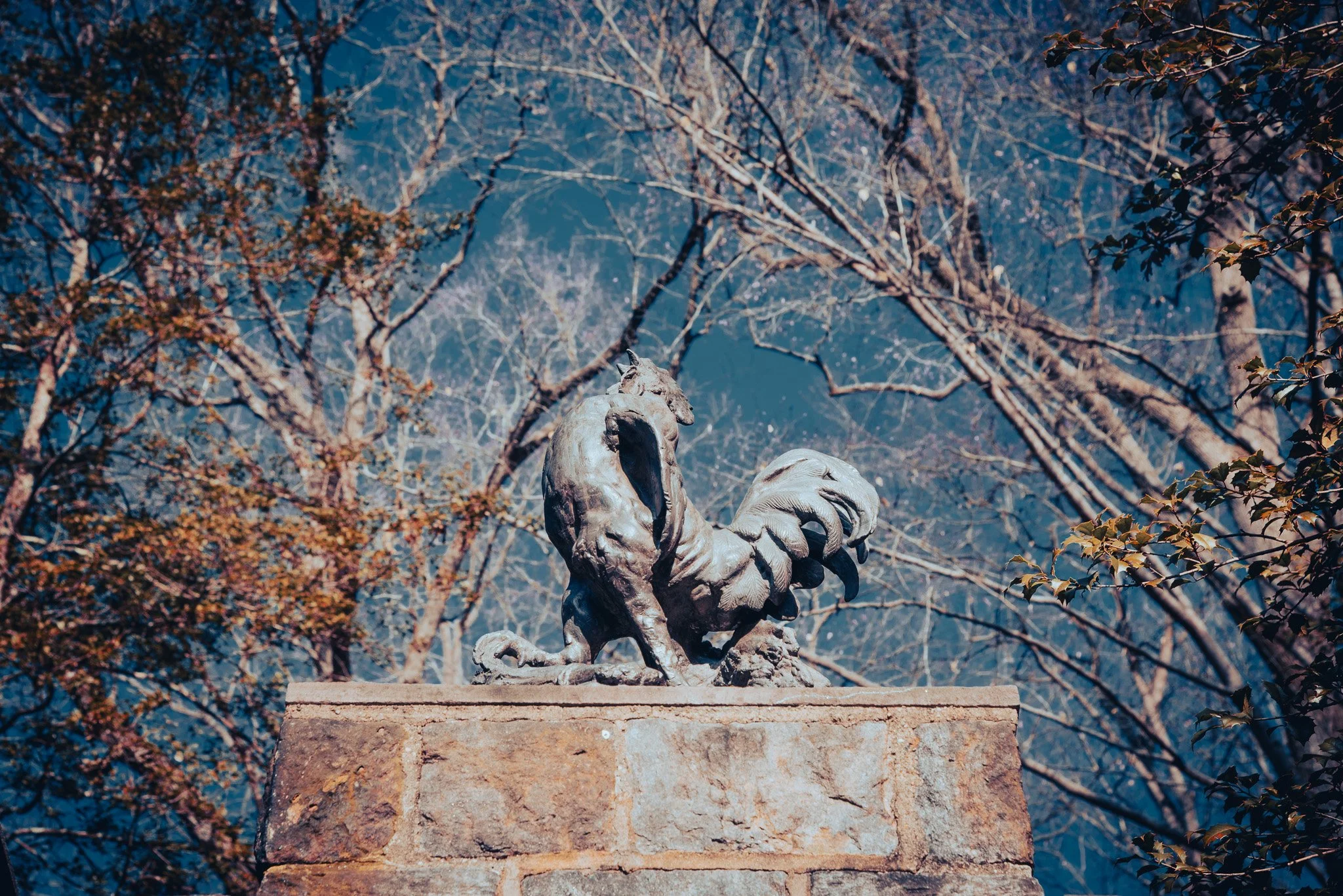DSC_1291.jpg