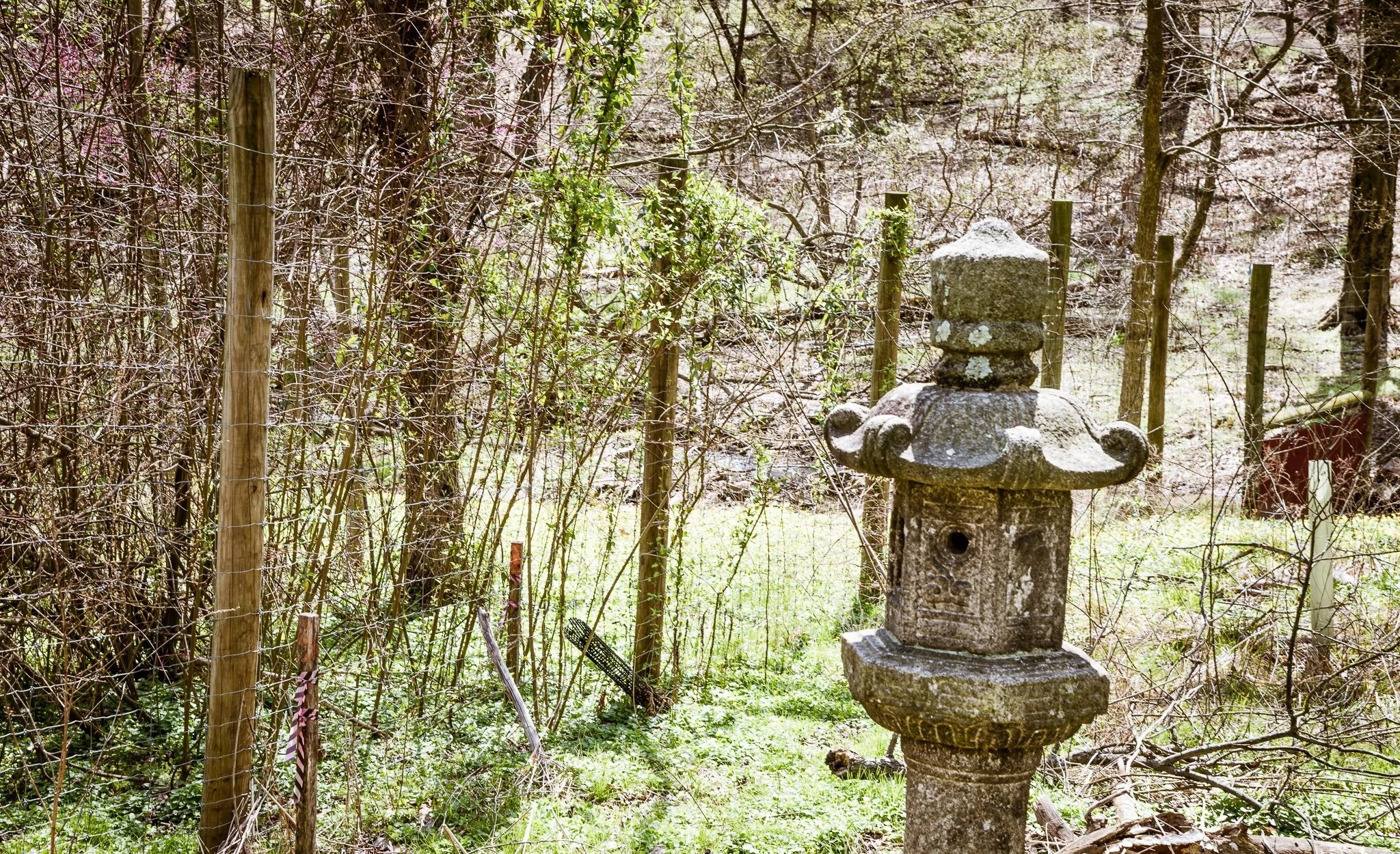 DSC_3482.jpg