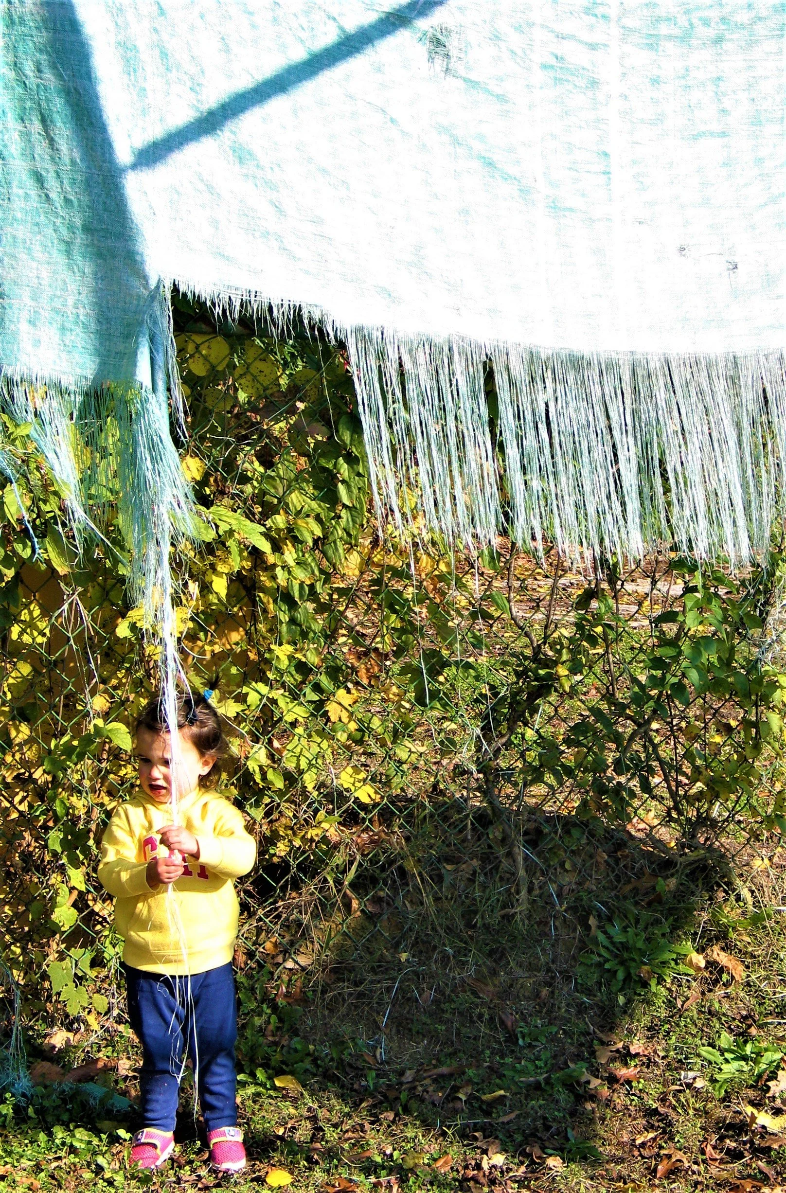 IMG_1559 (2) - Copy.JPG