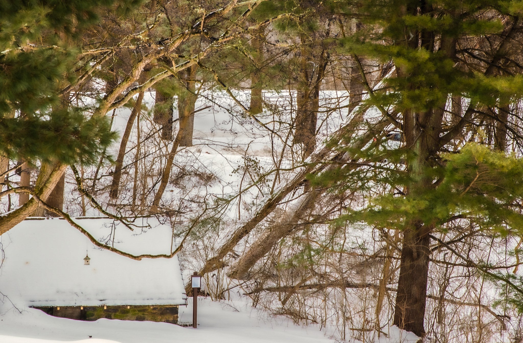 DSC_1632.jpg