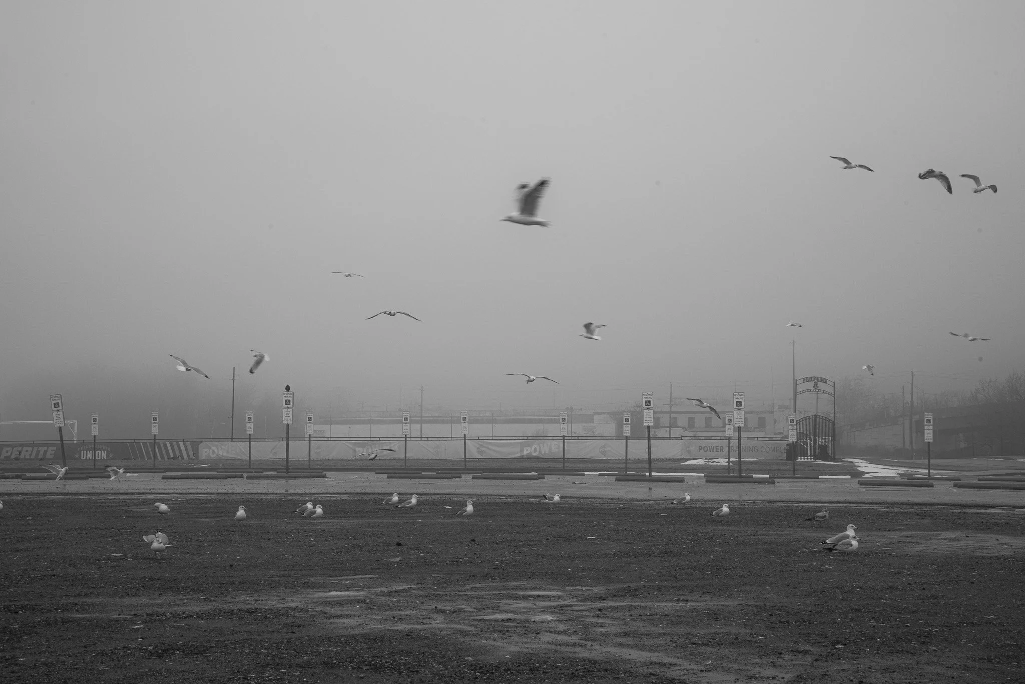 DSC_0643 (6).jpg