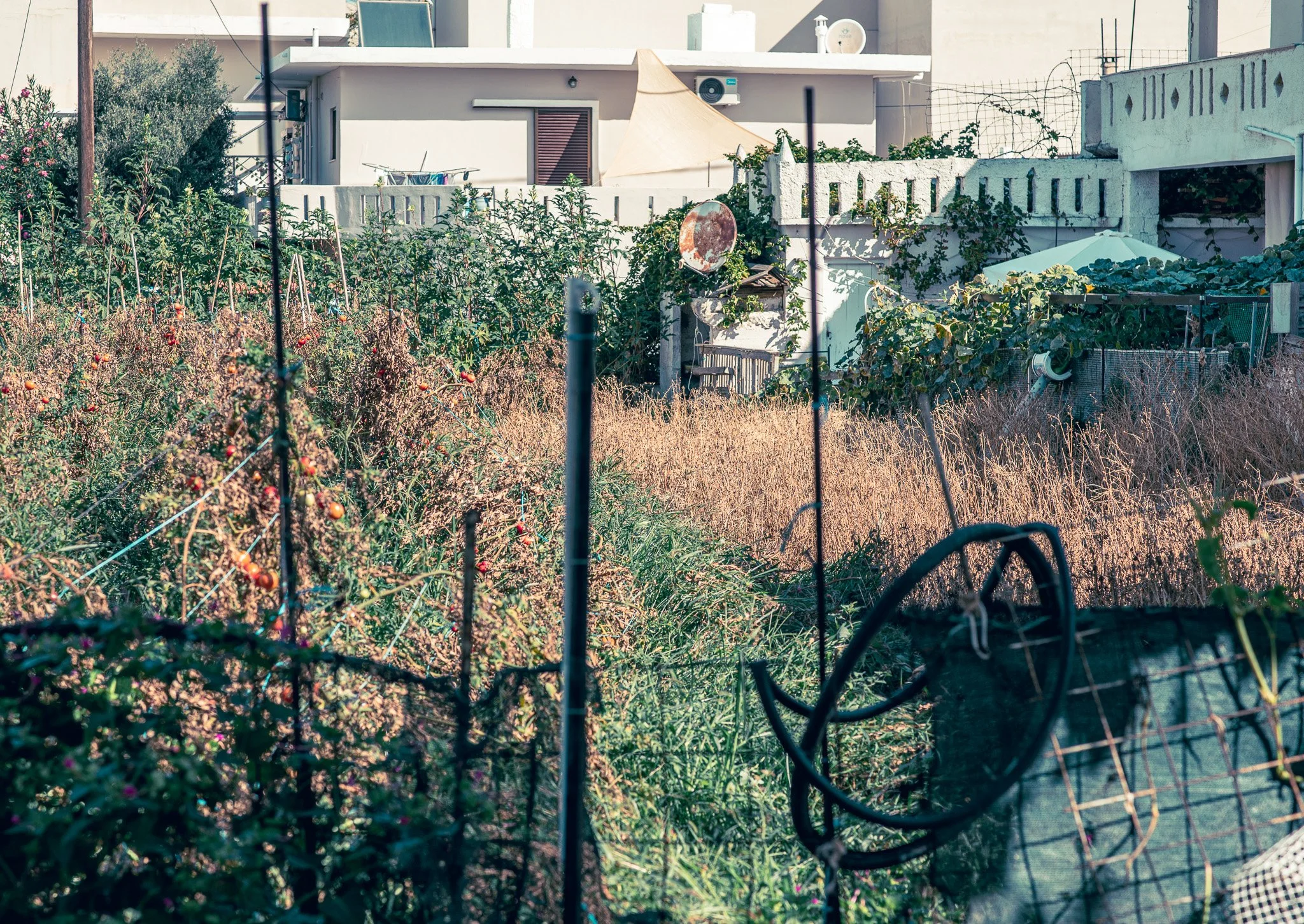 DSC_2493.jpg