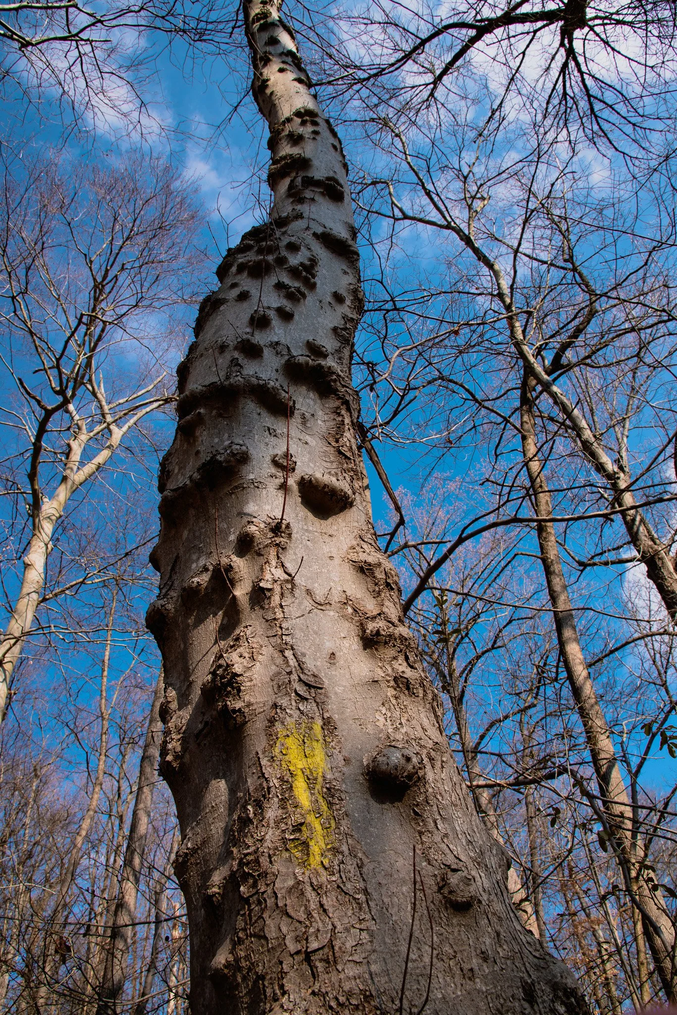 DSC_0841-2.jpg