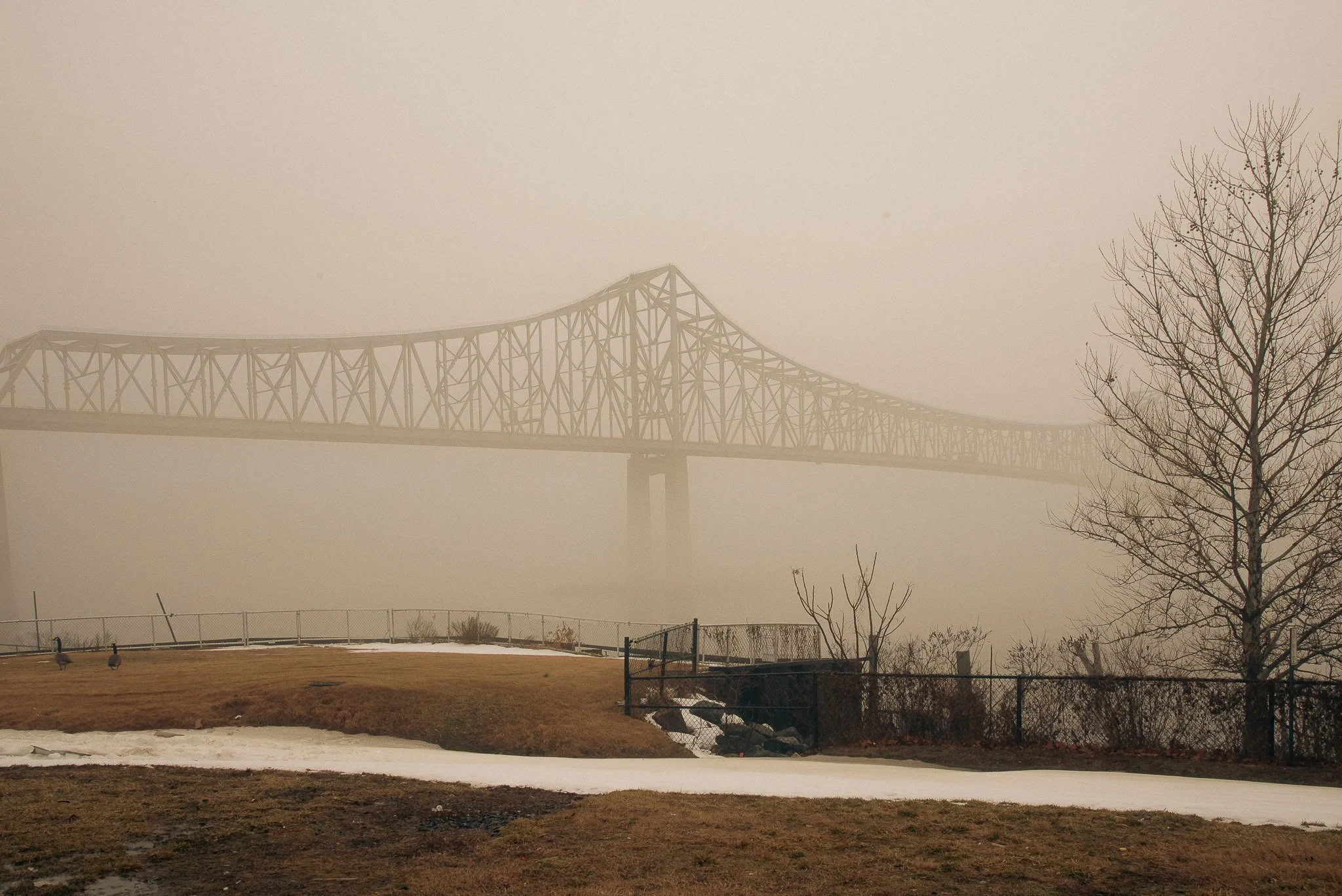 DSC_0646 (2).jpg