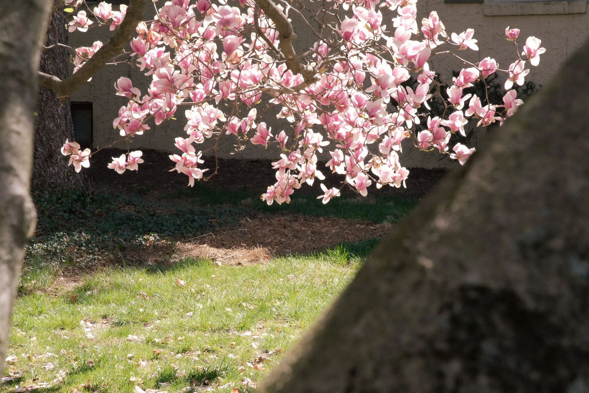 DSC_0621.jpg