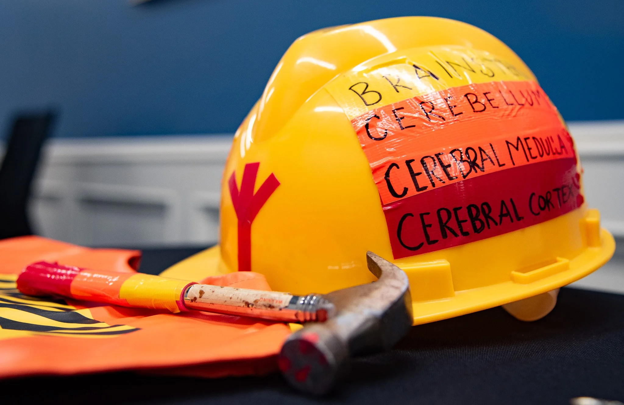 Germanic Healing Knowledge