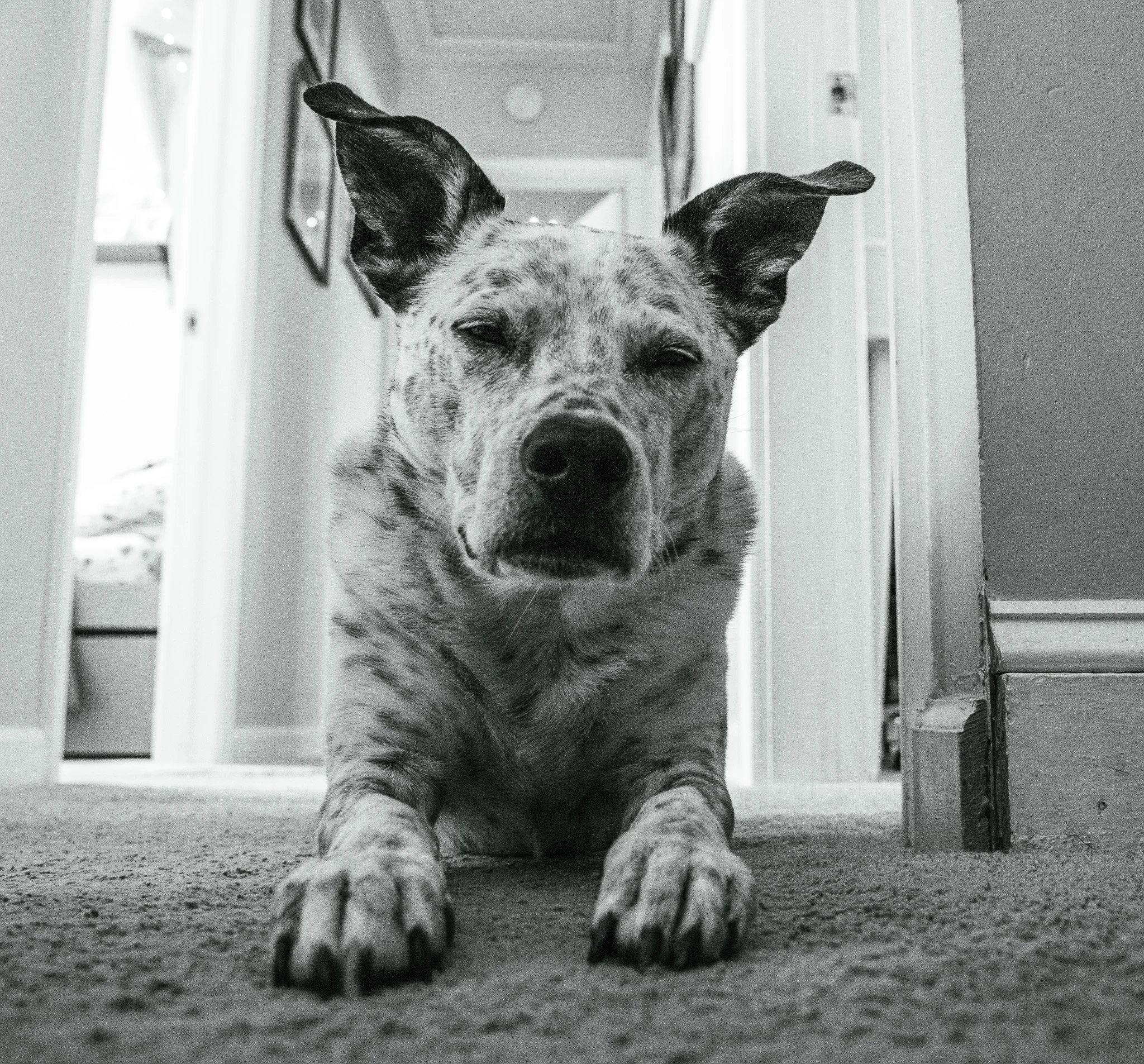 DSC_1862.jpg