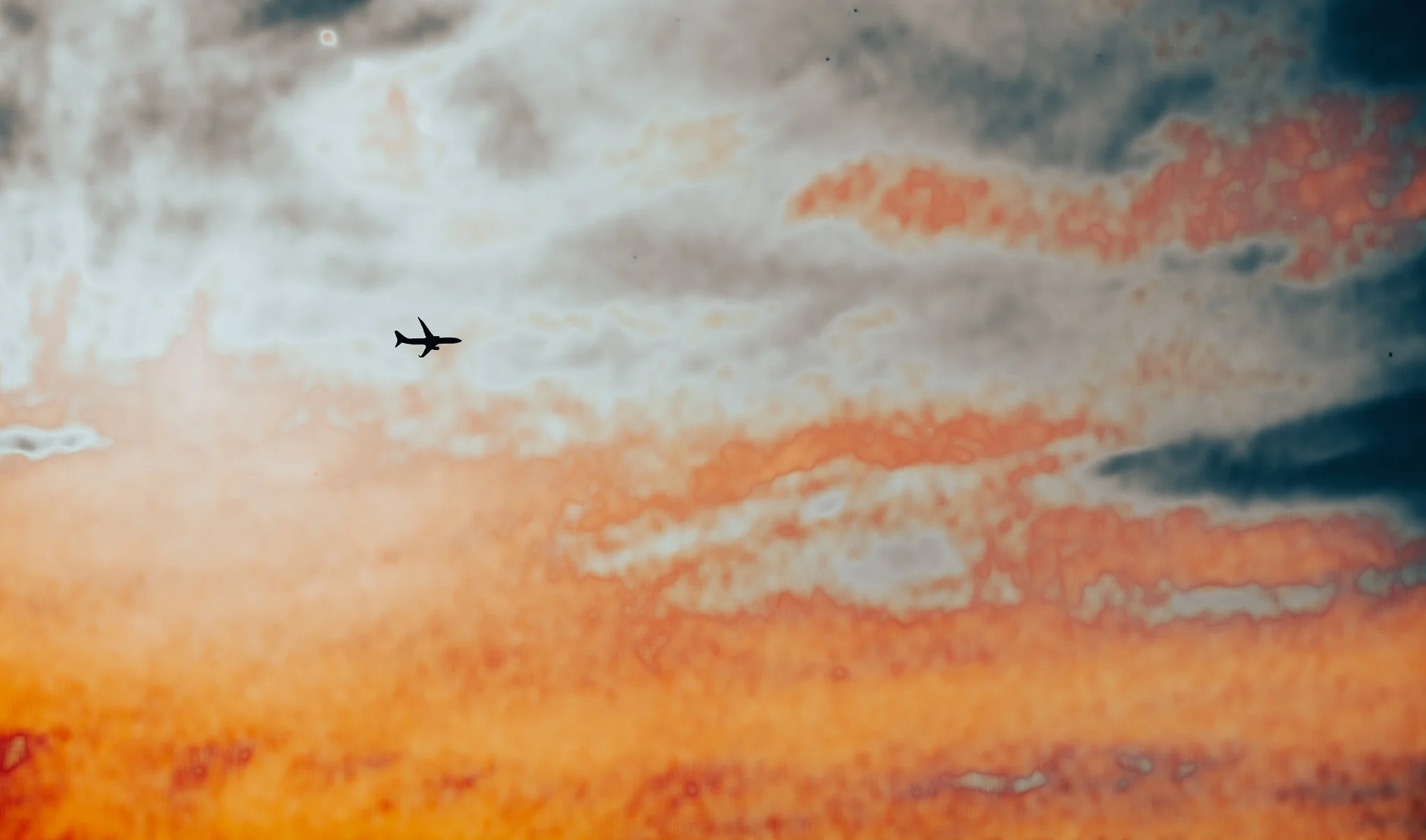 DSC_4996.jpg