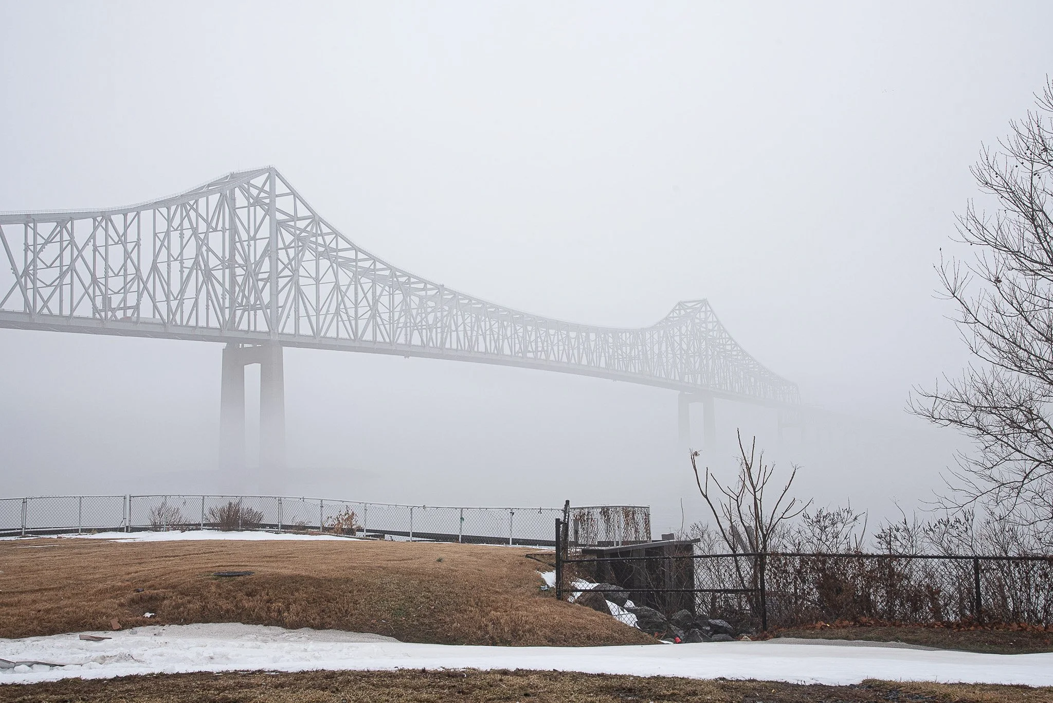 DSC_0659 (2).jpg