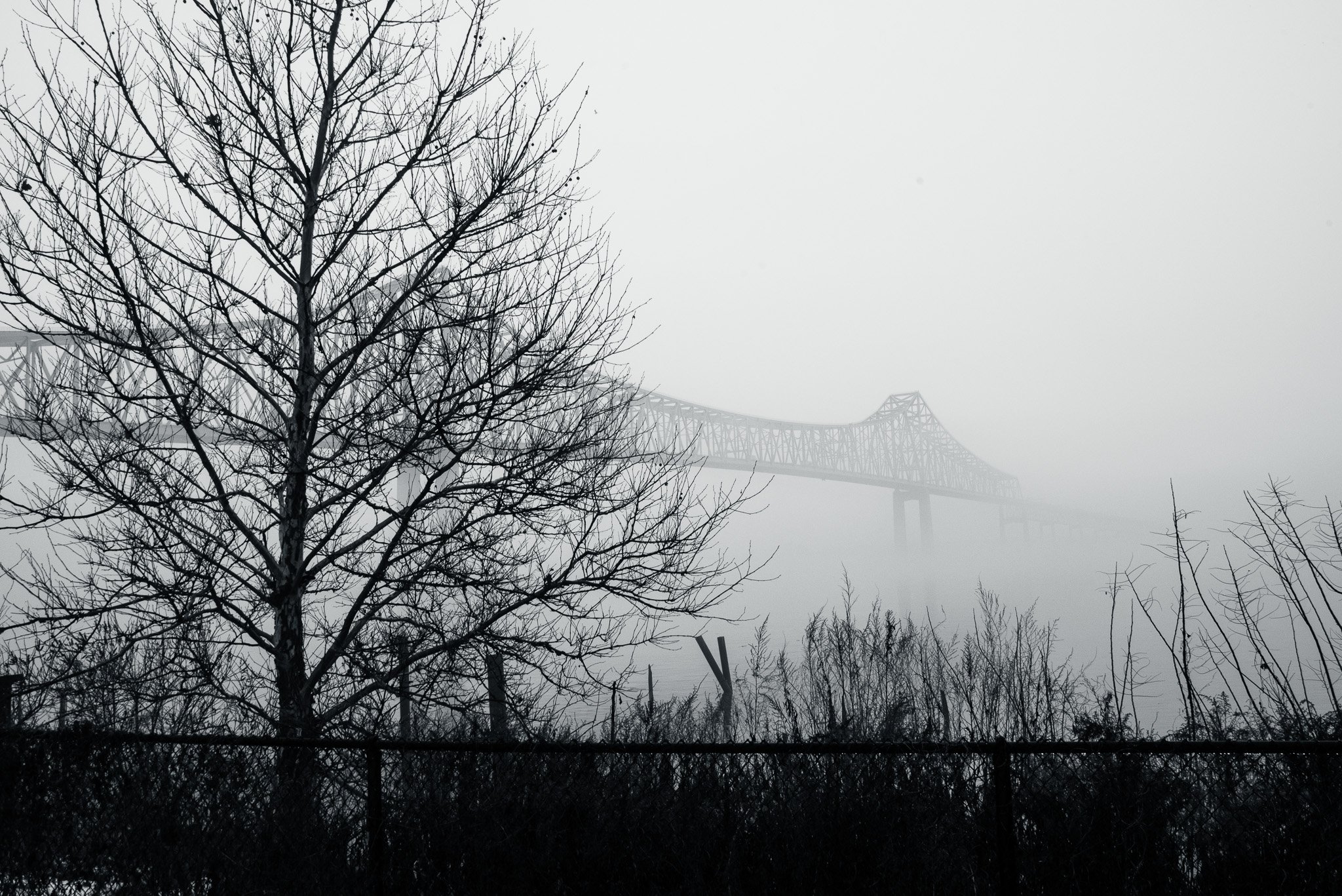 A foggy day in Chester Pa