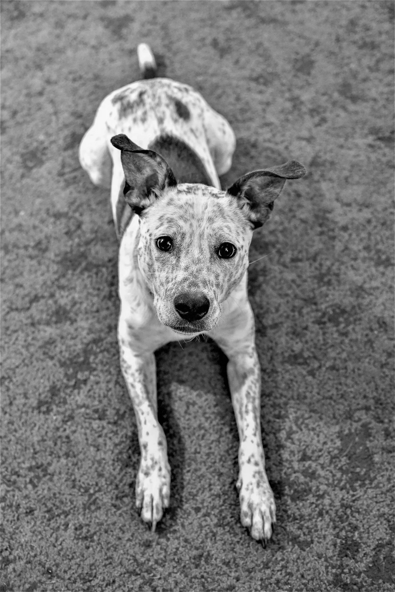 DSC_0025 (3).jpg