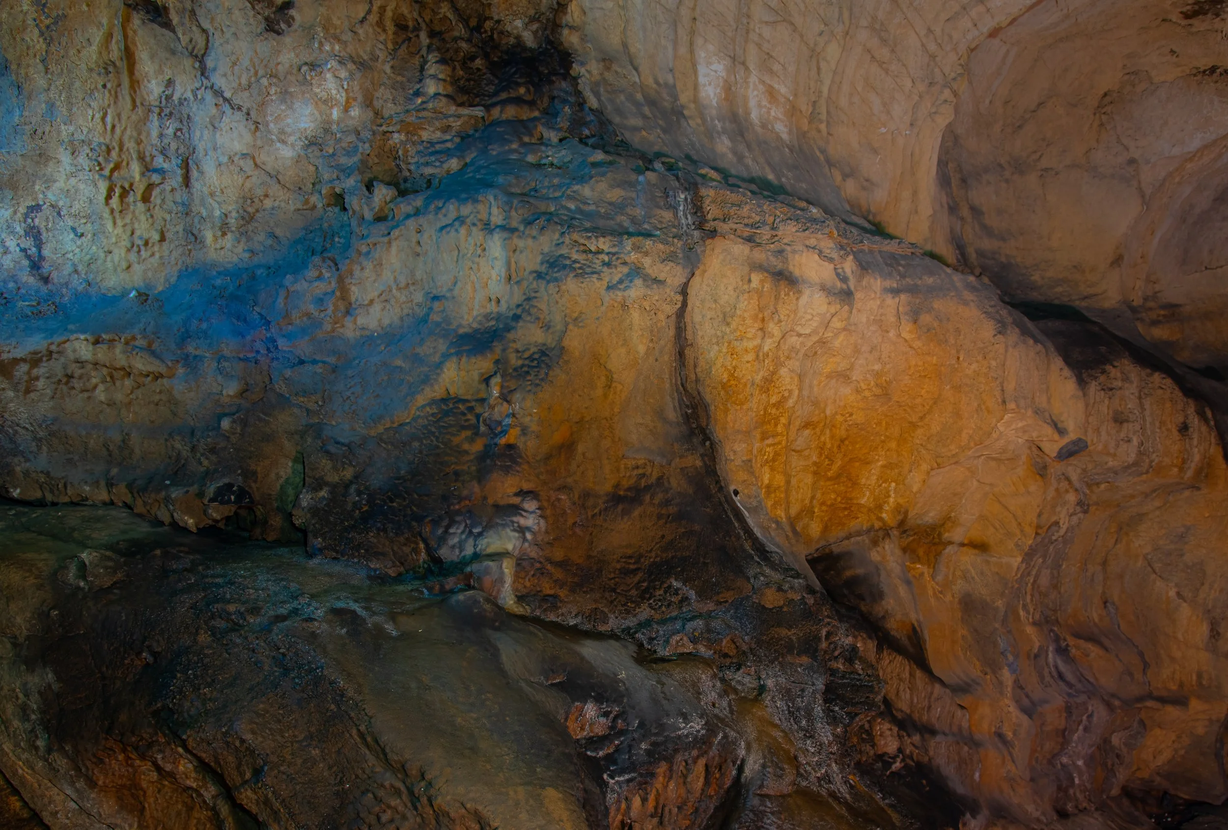 DSC_2450 (4).jpg