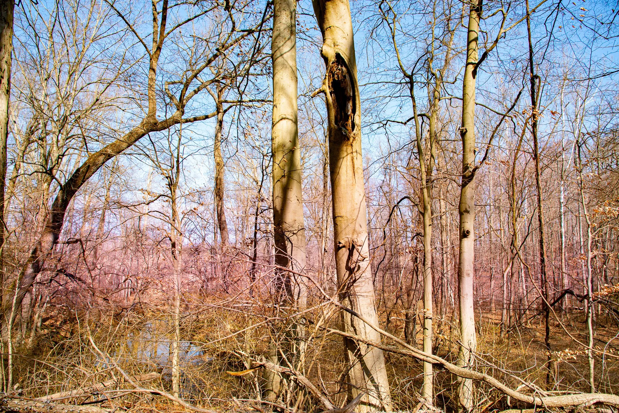 DSC_0904.jpg