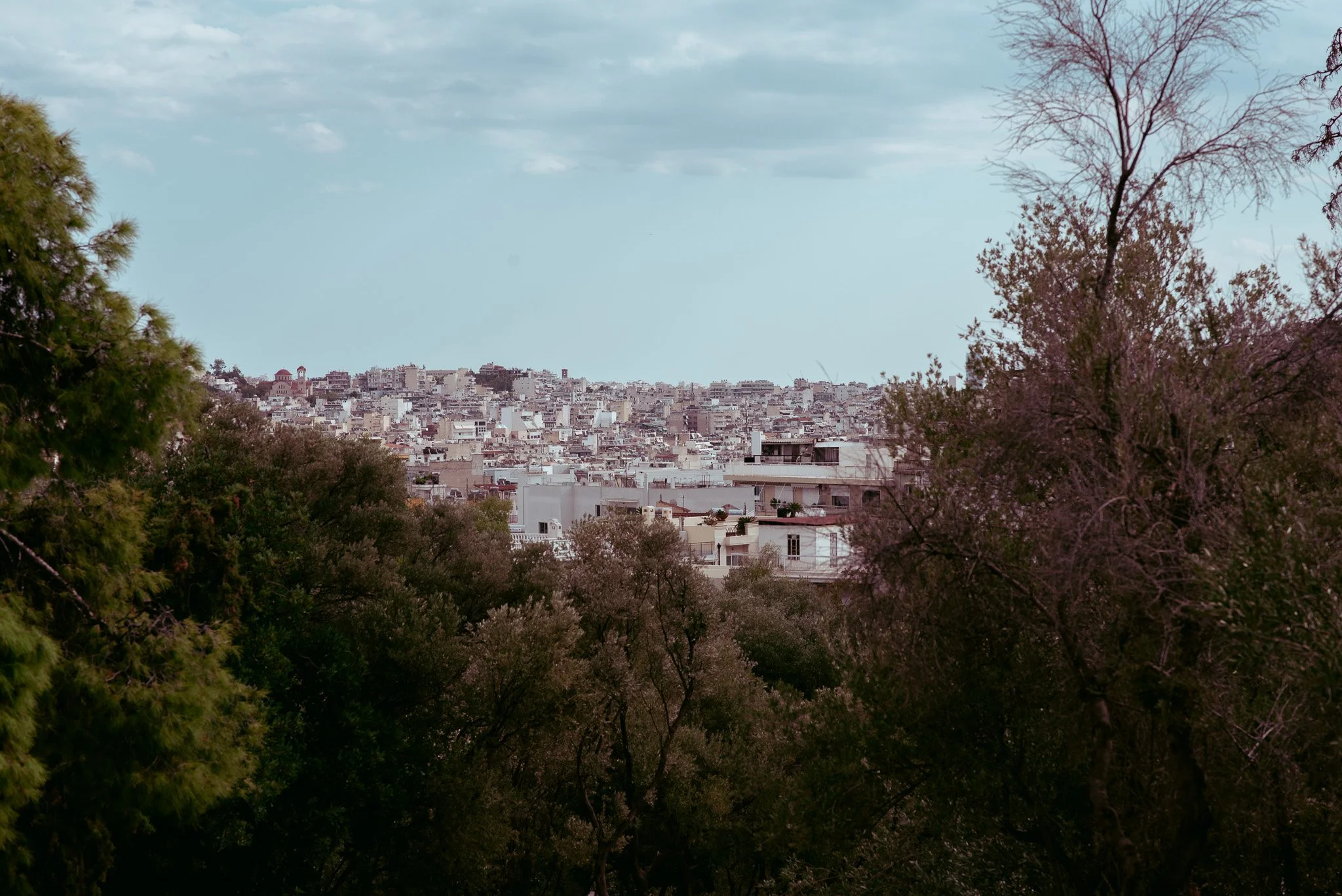 DSC_2785.jpg