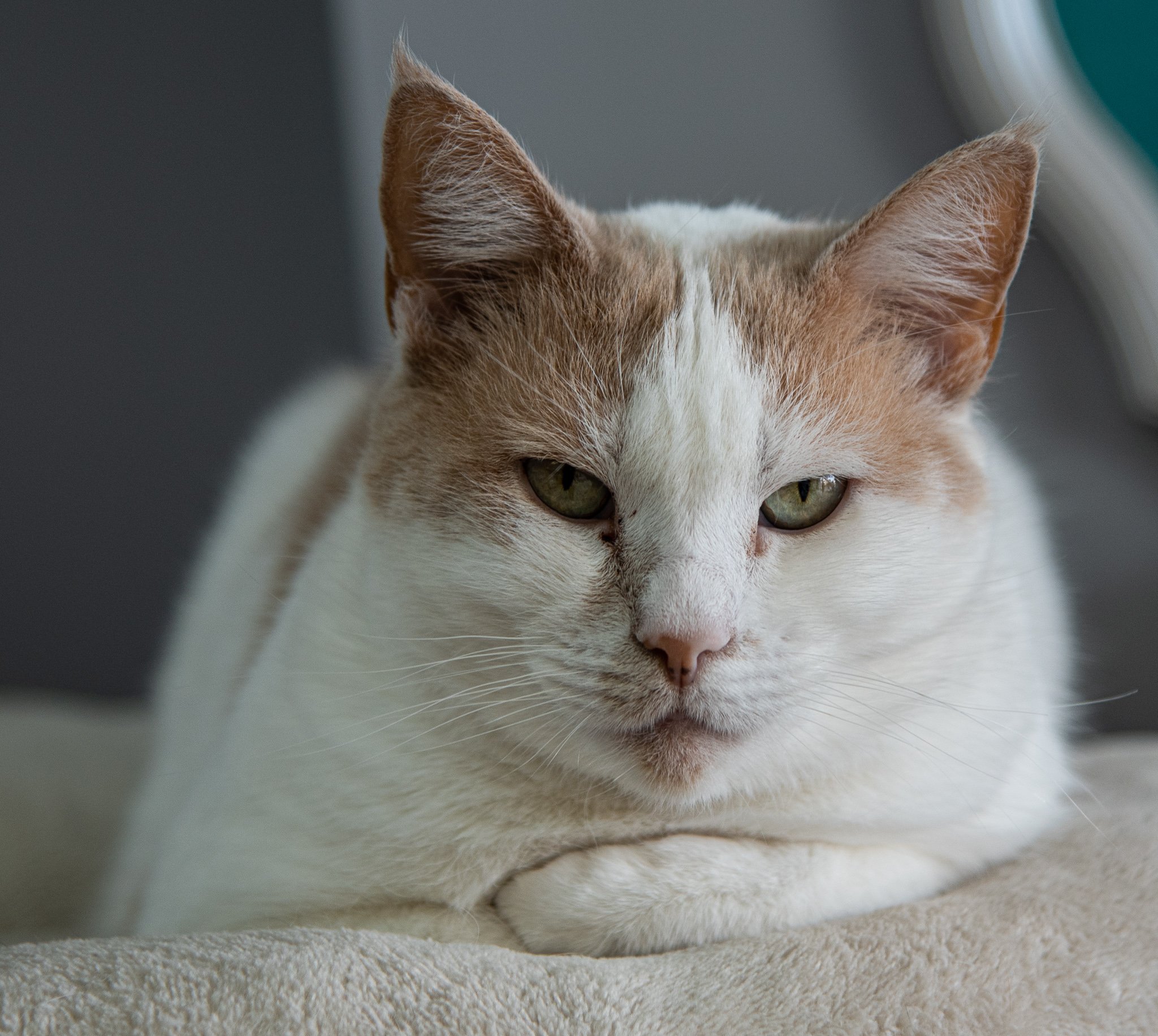 DSC_0399.jpg