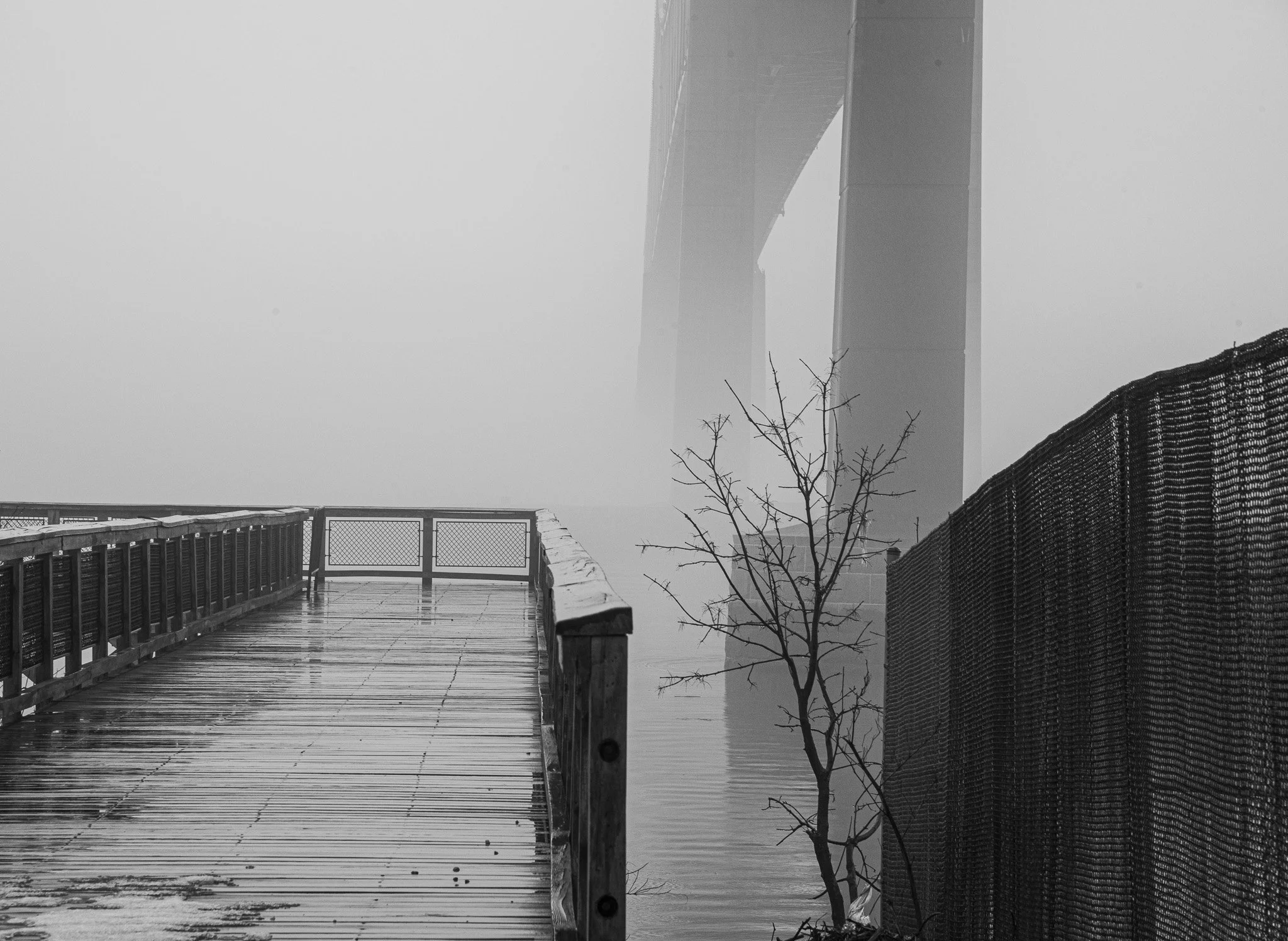 DSC_0631-2.jpg