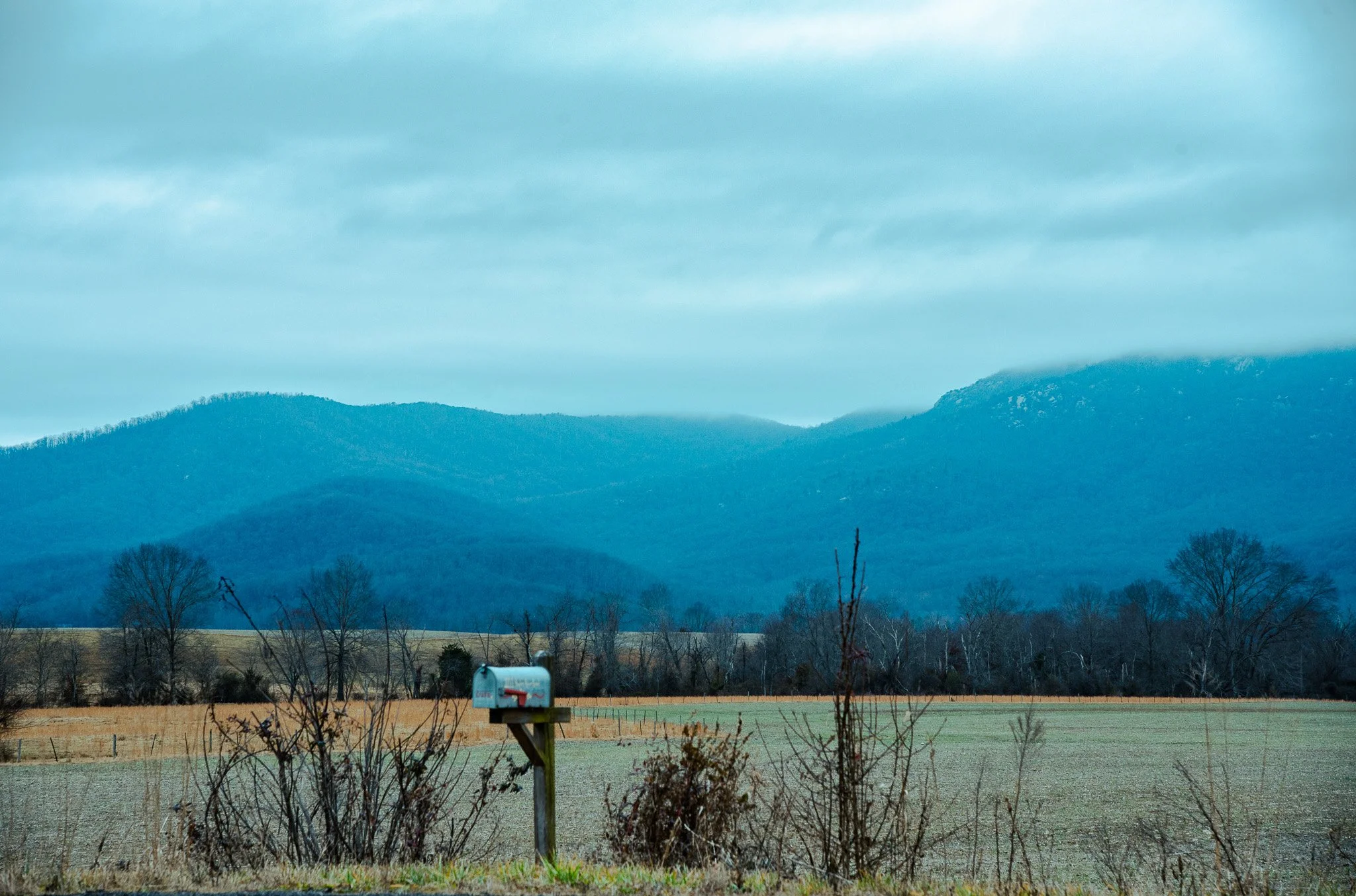 DSC_1518.jpg