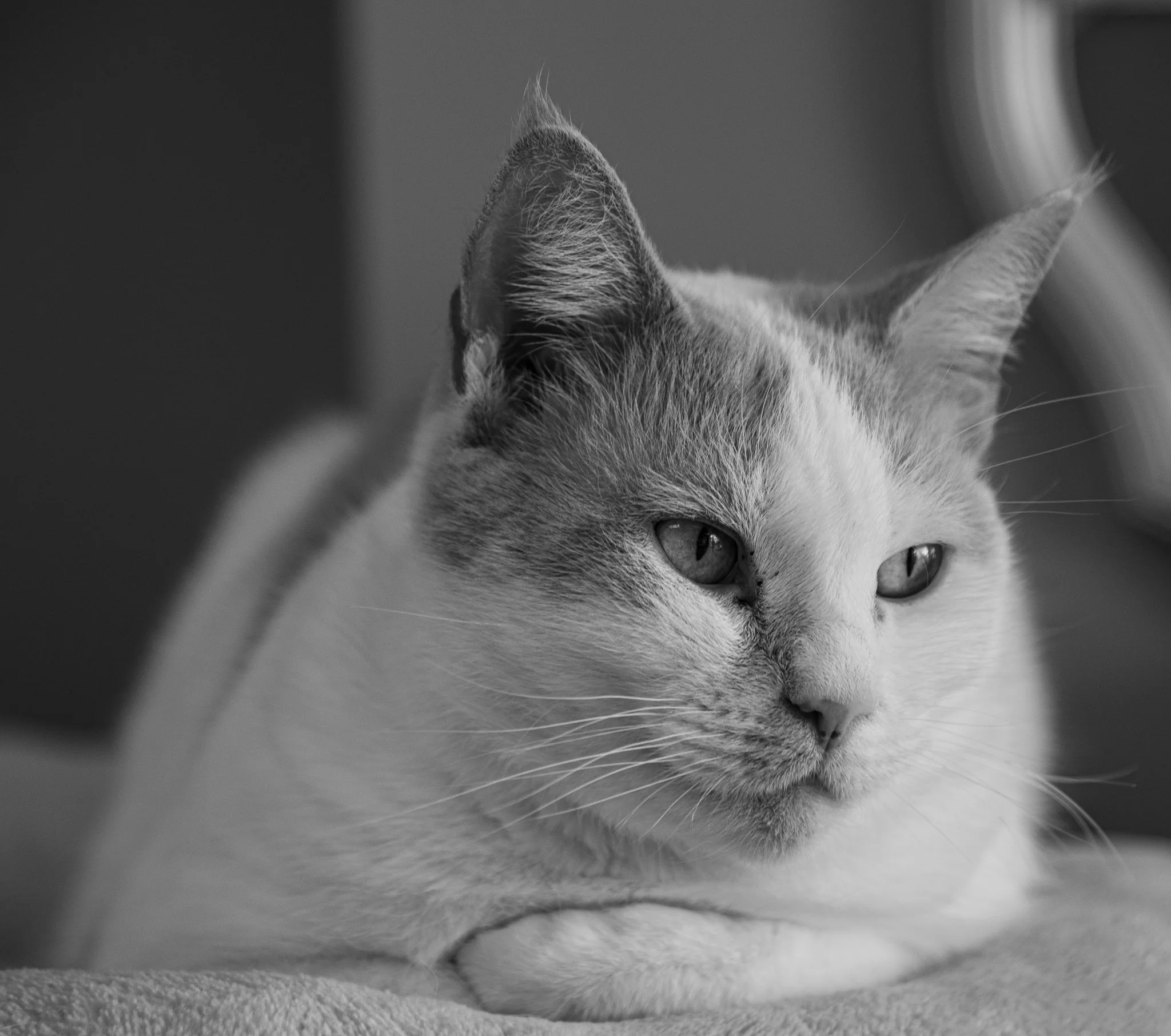 DSC_0401.jpg
