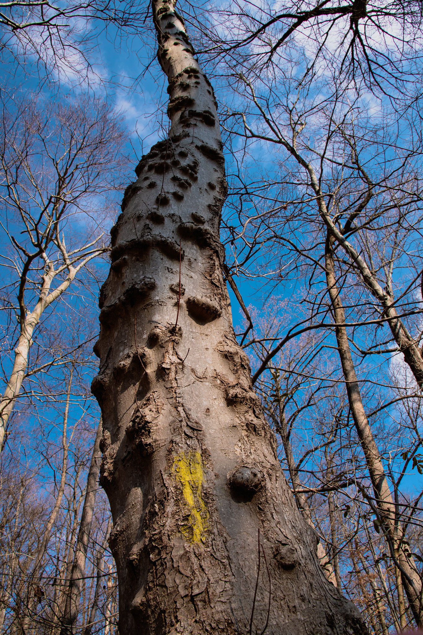 DSC_0841-2.jpg
