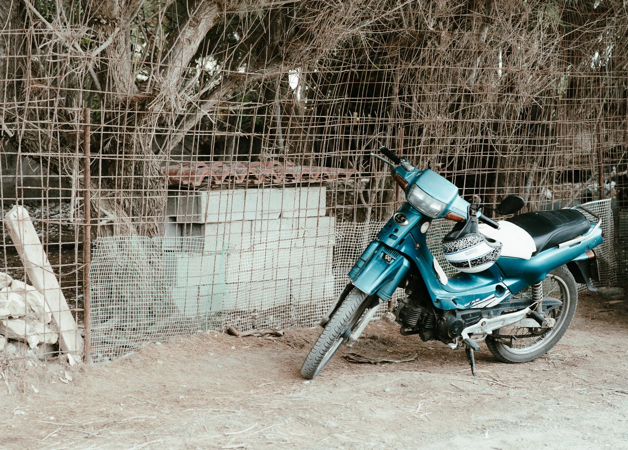 DSC_2607.jpg