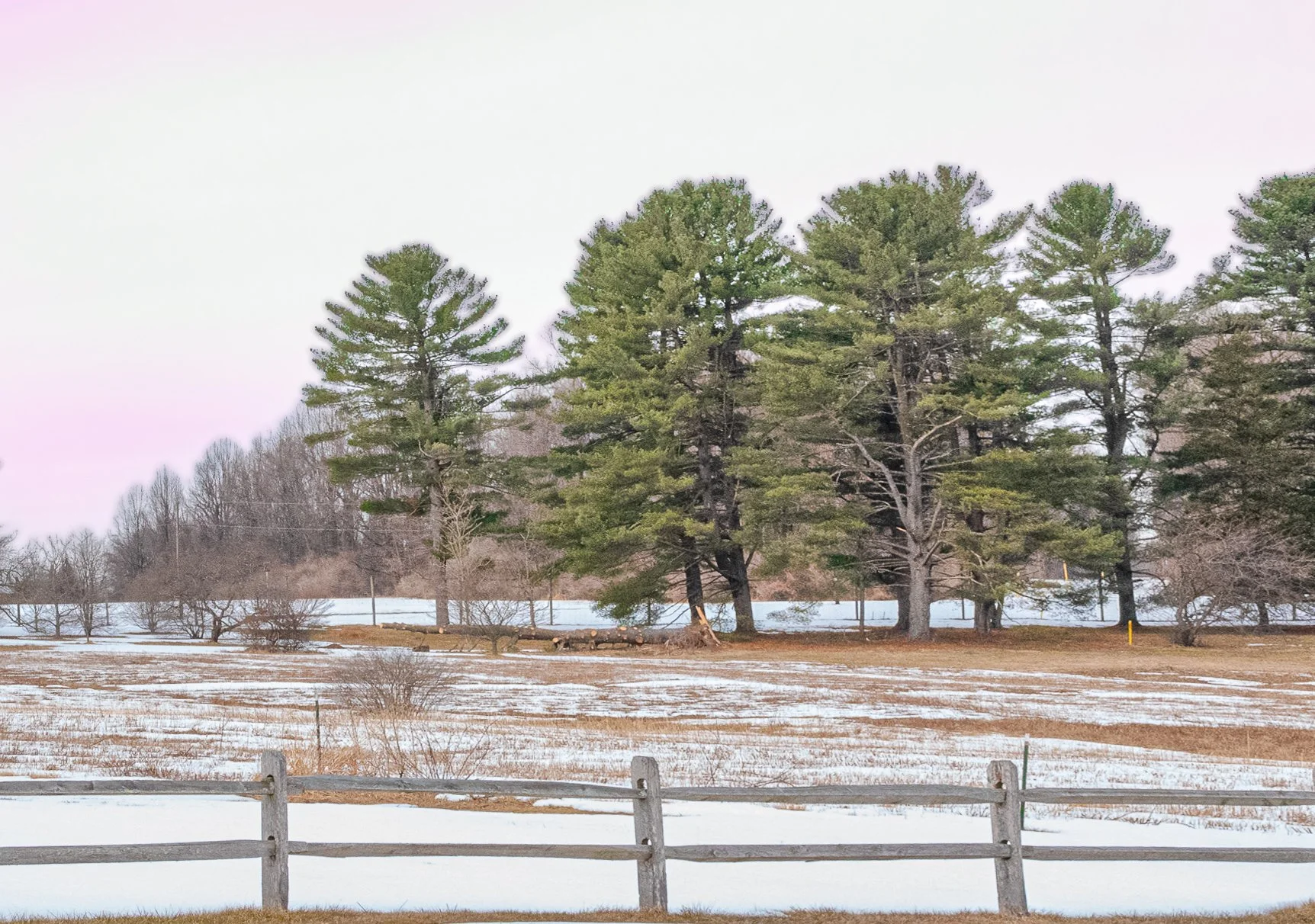 DSC_1780.jpg